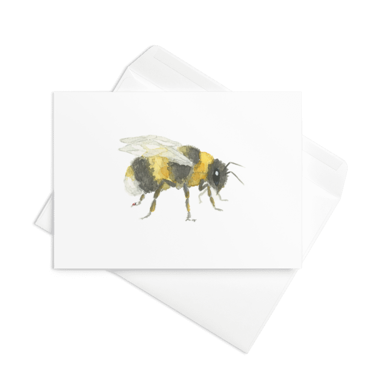 0002-Bumble Bee Close Up.png
