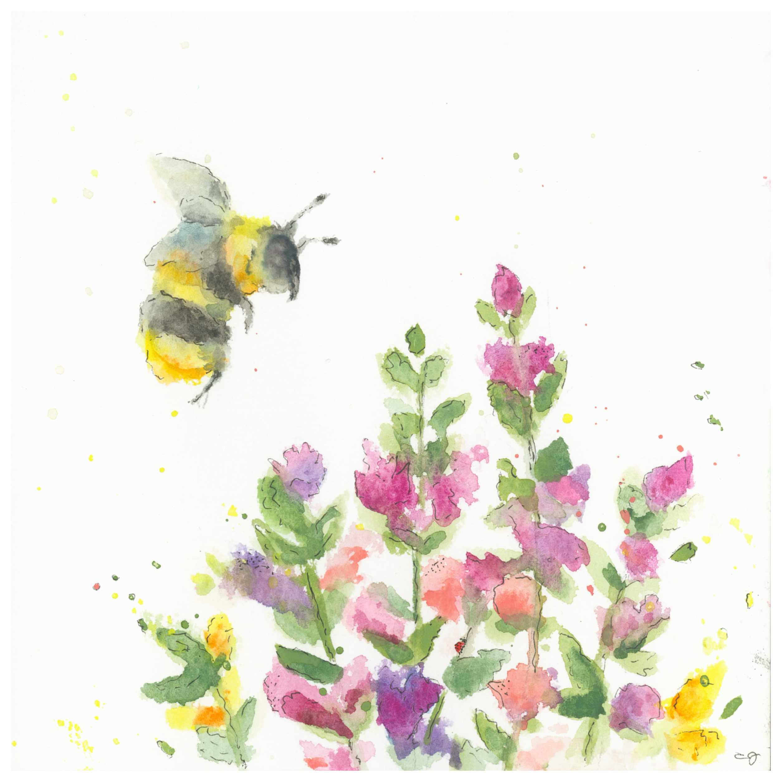 Petal Partners