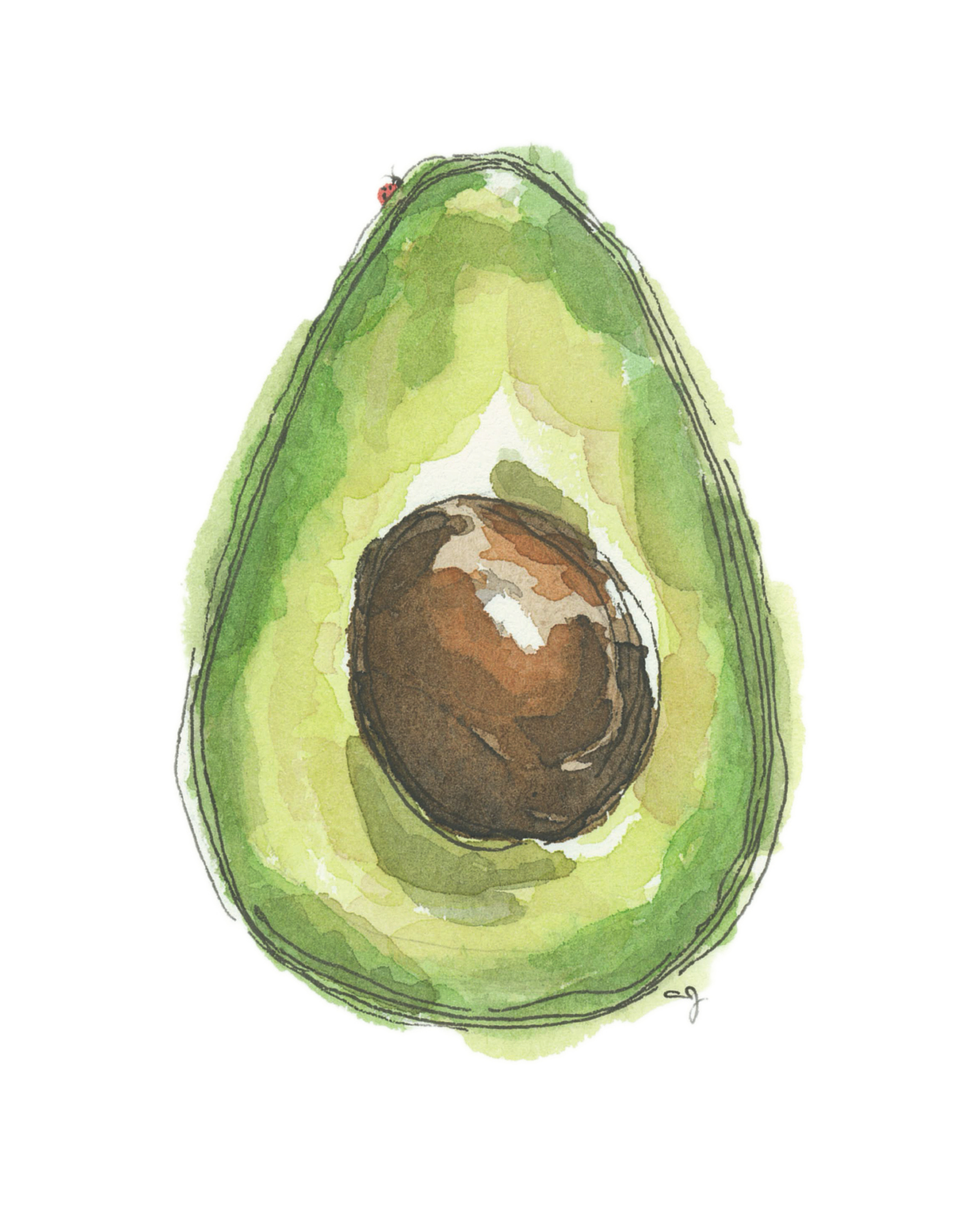 Avocado