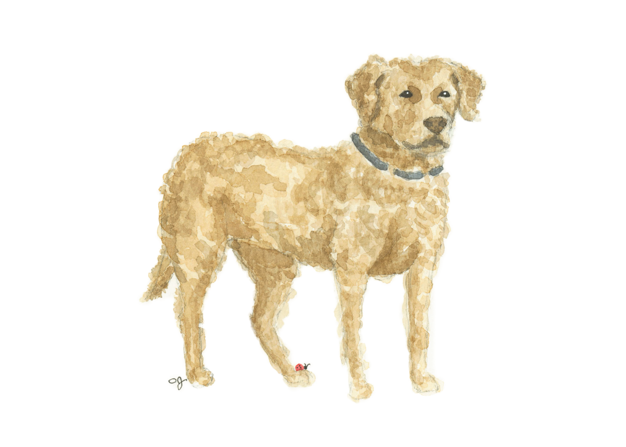 0015-Chessie (5x7)-FINAL.png