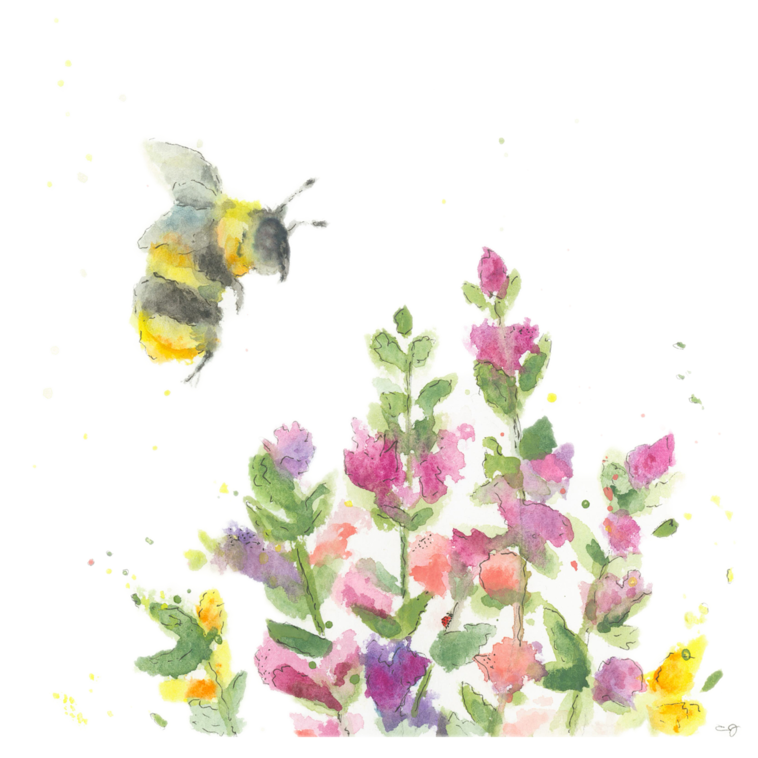 Petal Partners