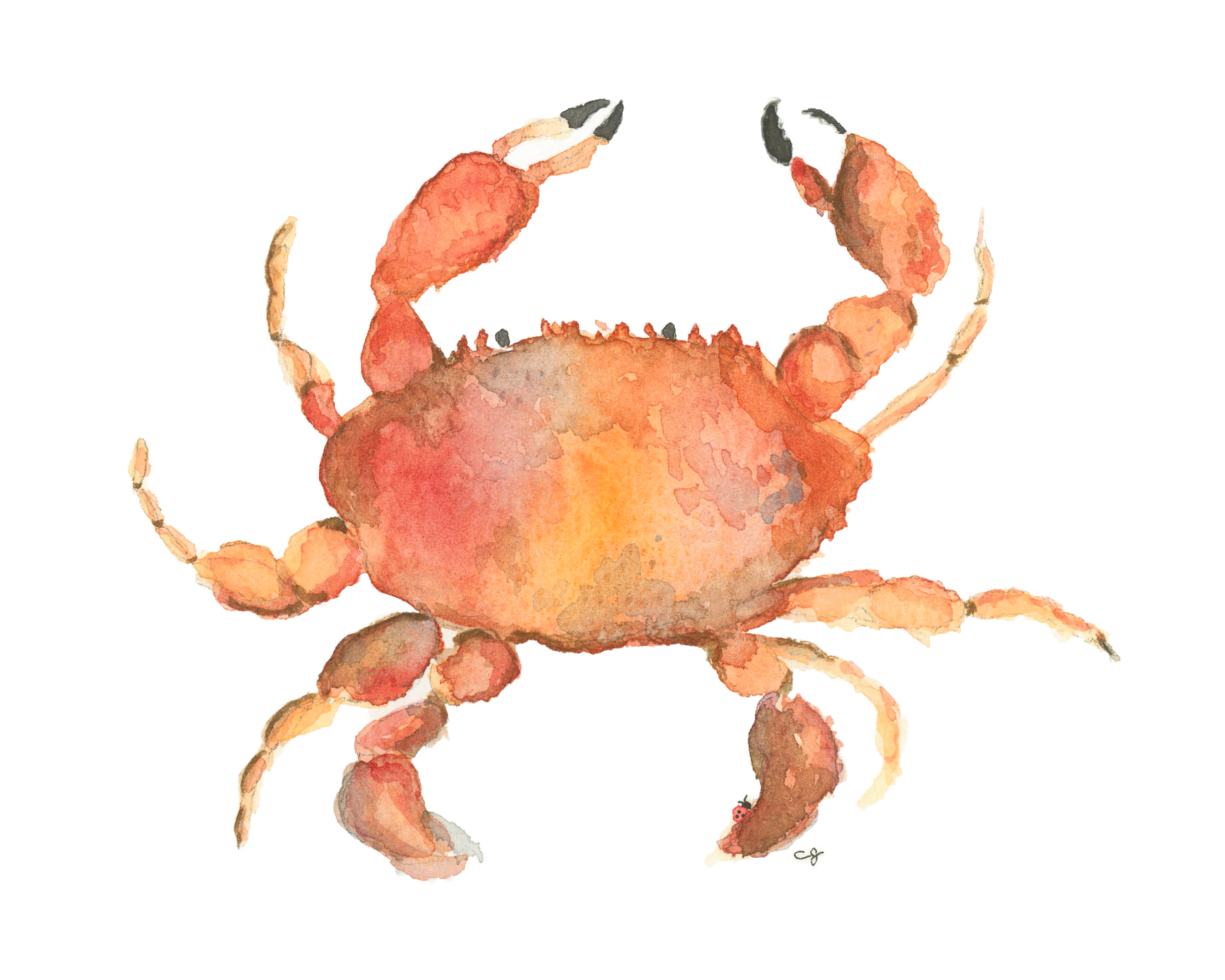 We Got Crabs