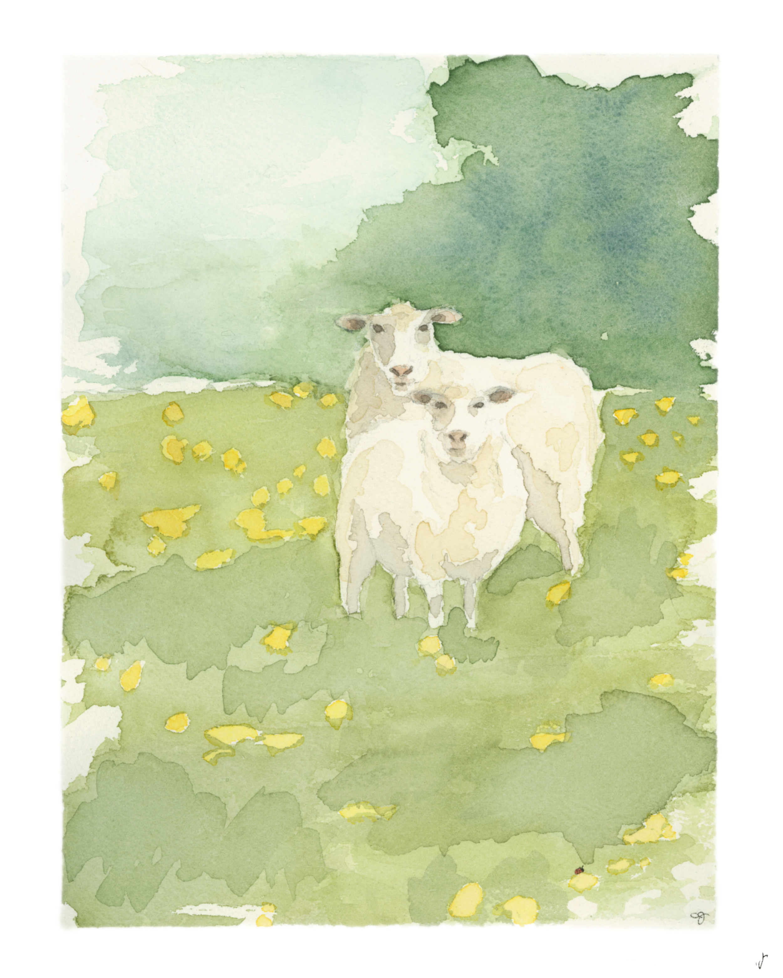 Meet You in the Meadow