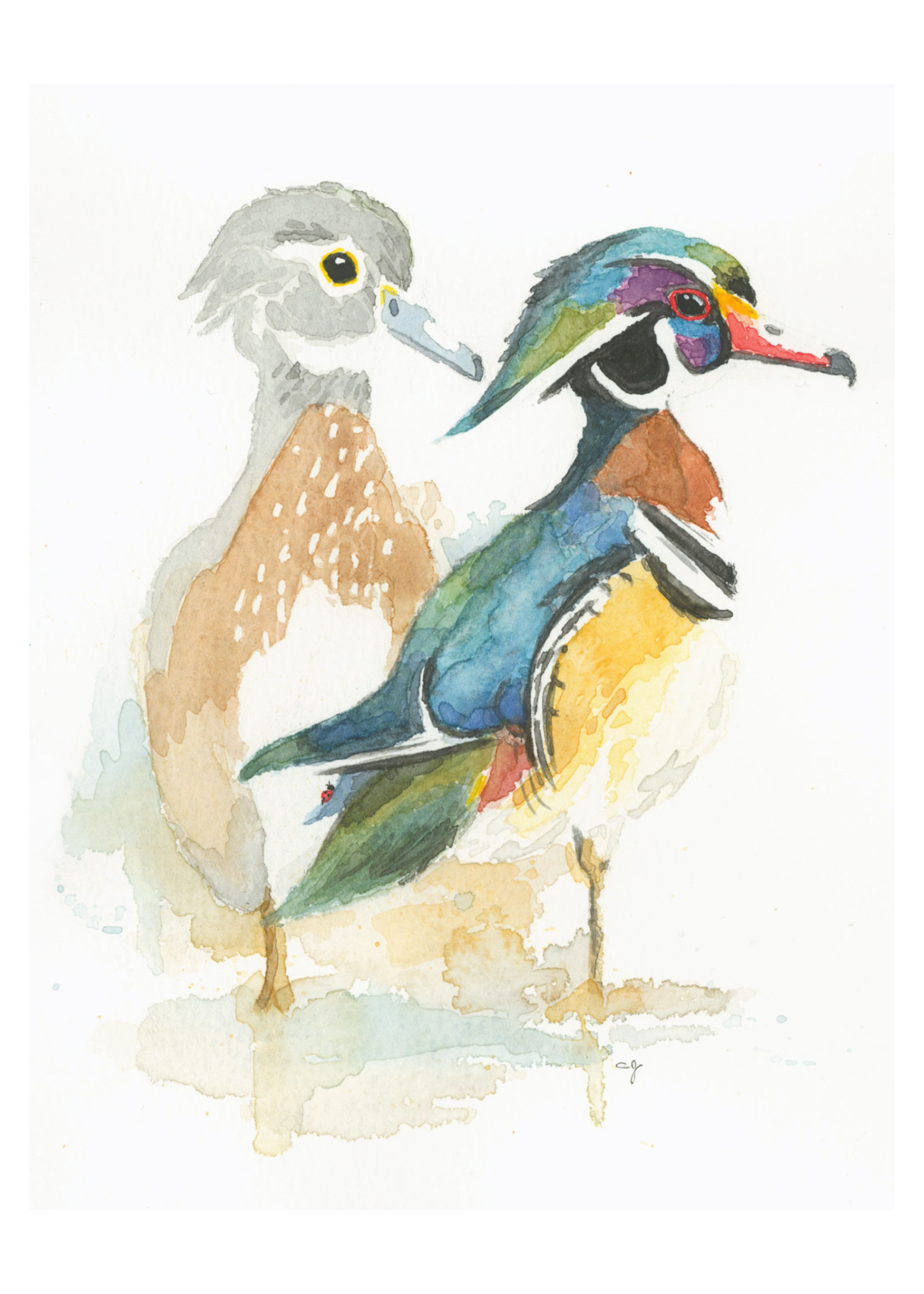 0017-Wood Ducks (5x7)-FINAL-Affinity.png
