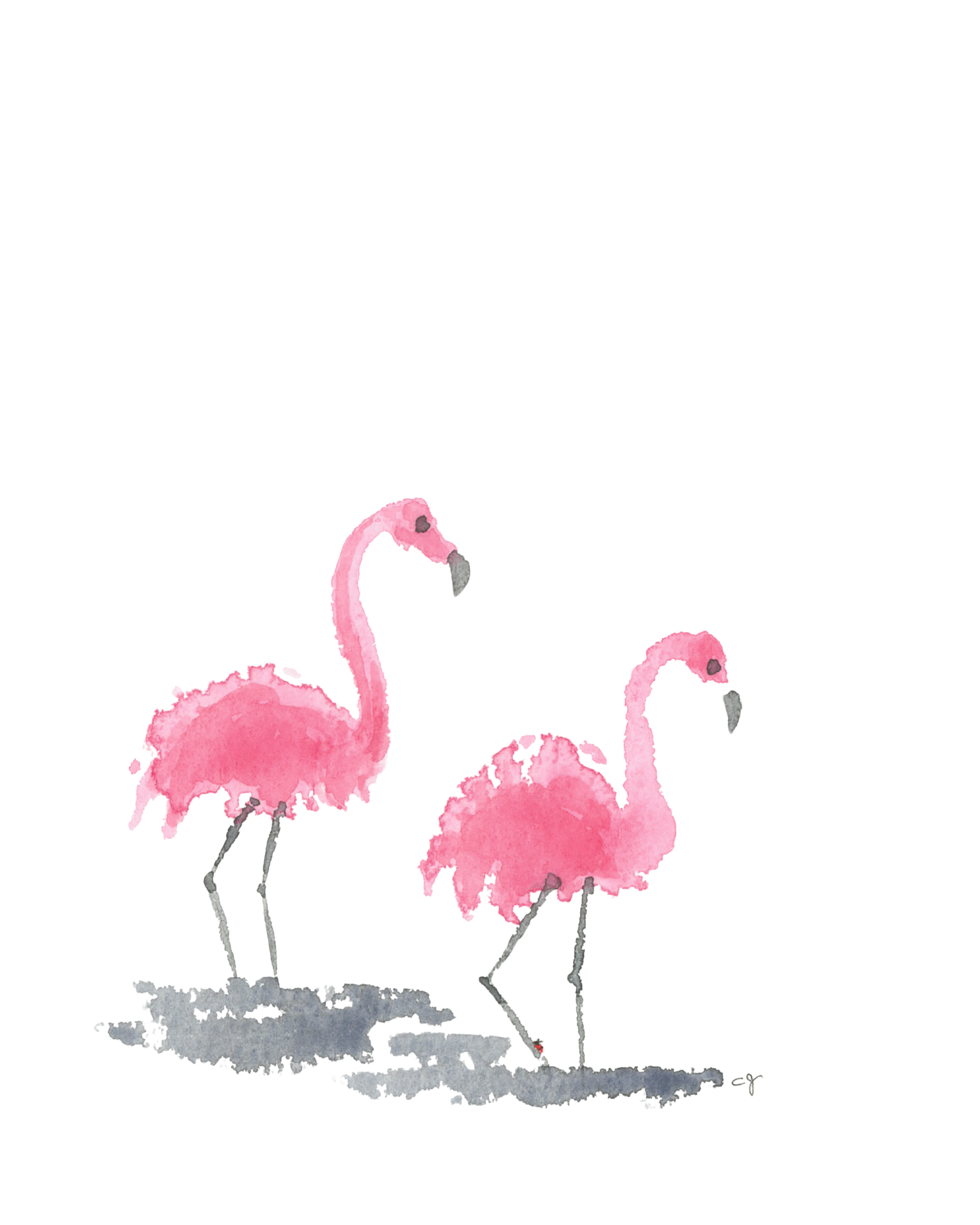 Flamingo Waltz
