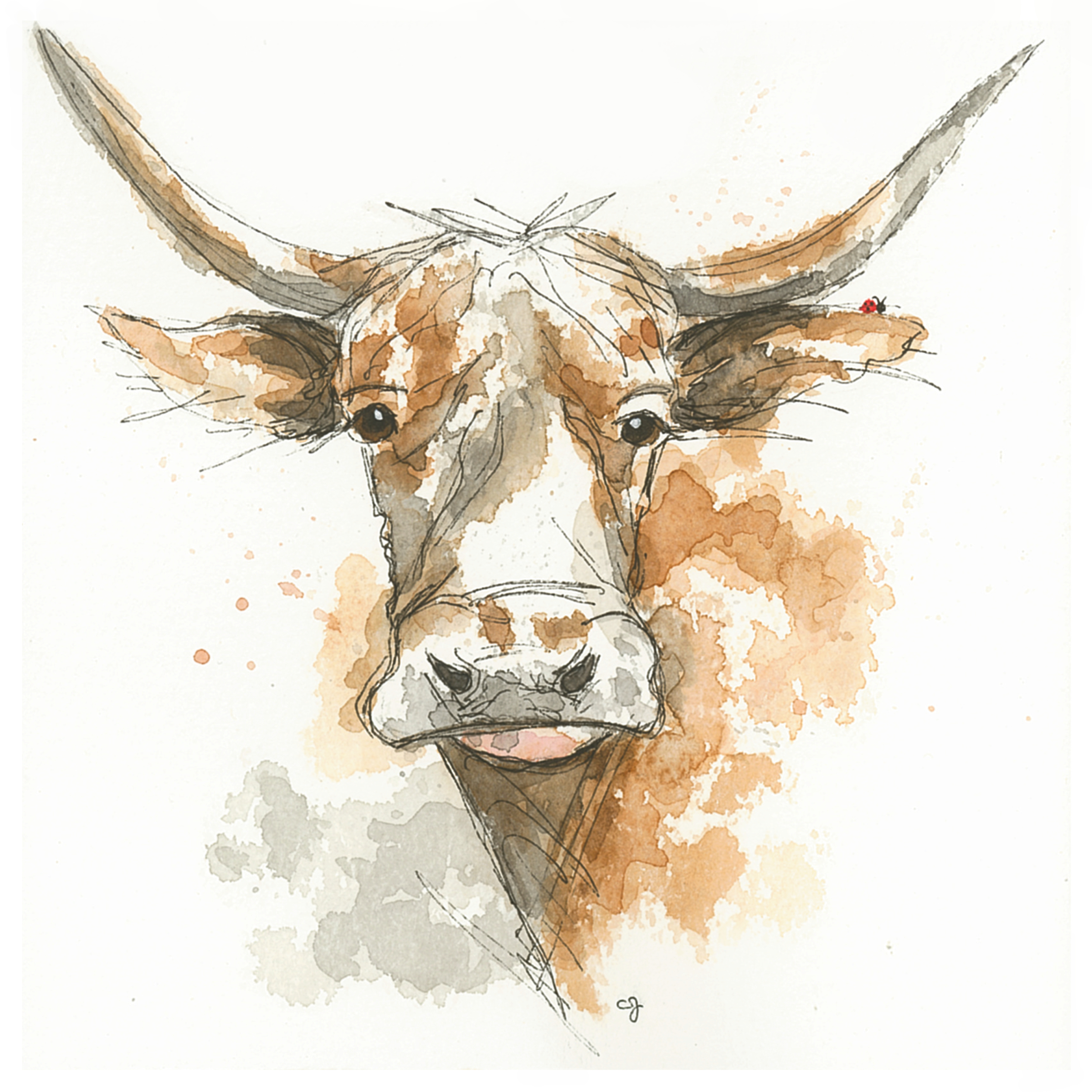 Longhorn