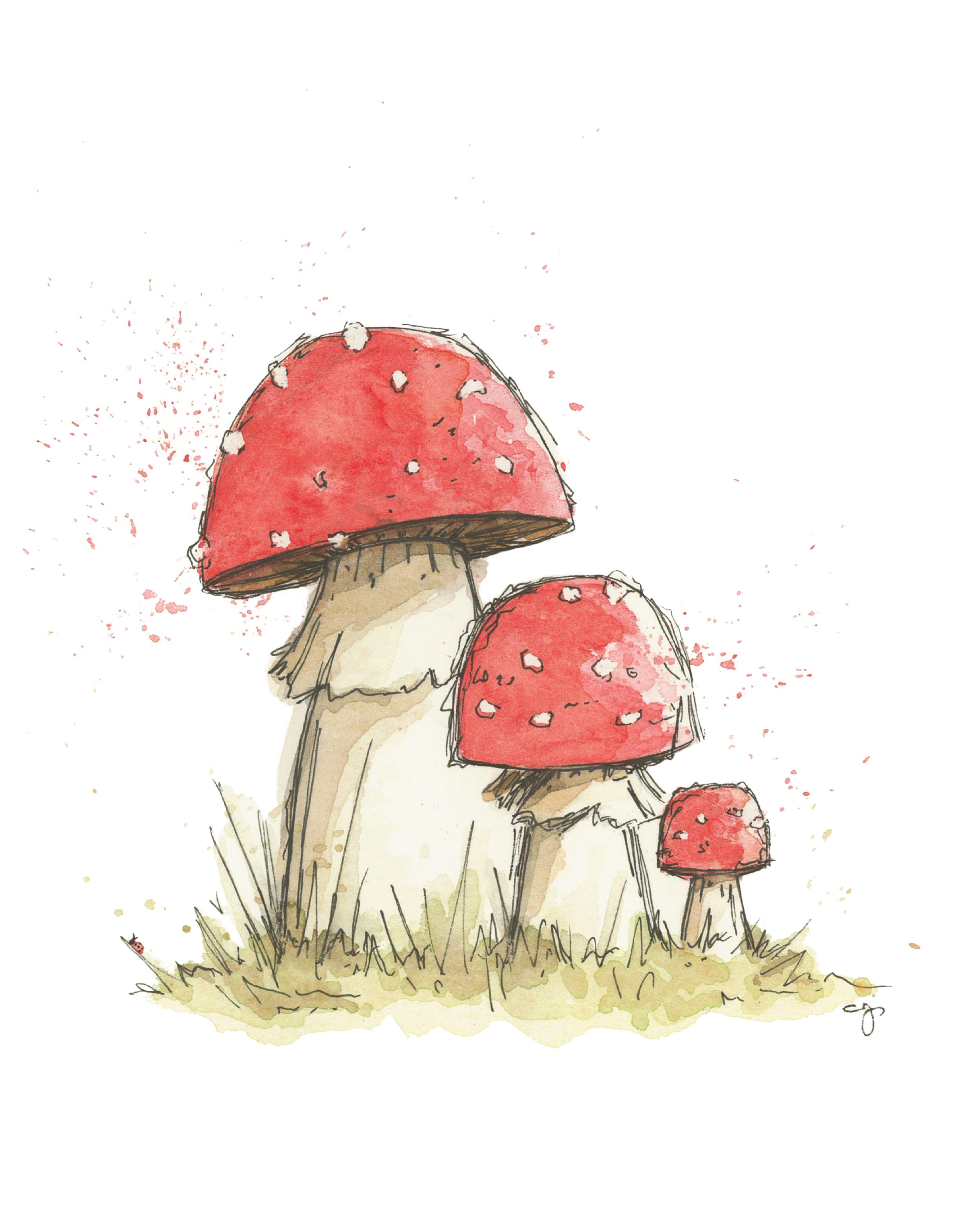 0014-Toadstool (8x10)-website-2.png
