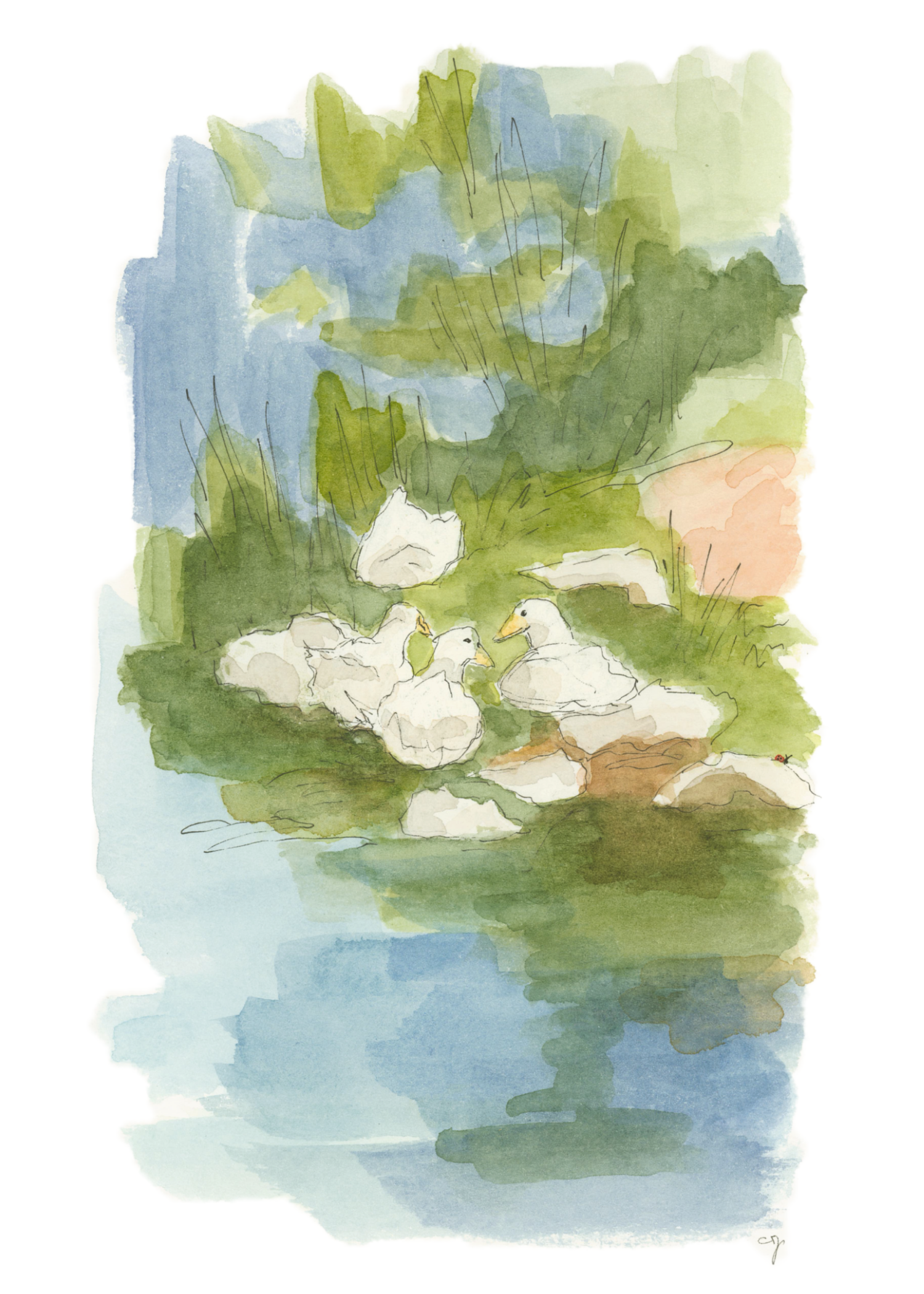 0053-Duck, Duck, Rock (5x7)-FINAL-Affinity-7.6.png