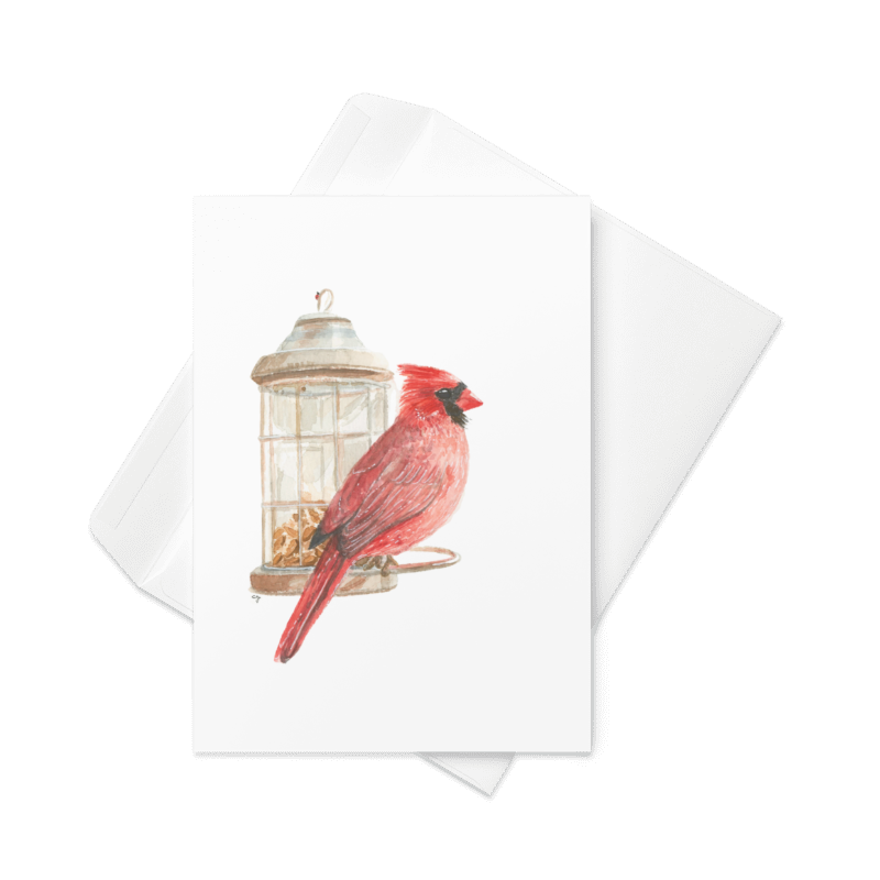 Cardinal - Greeting Card