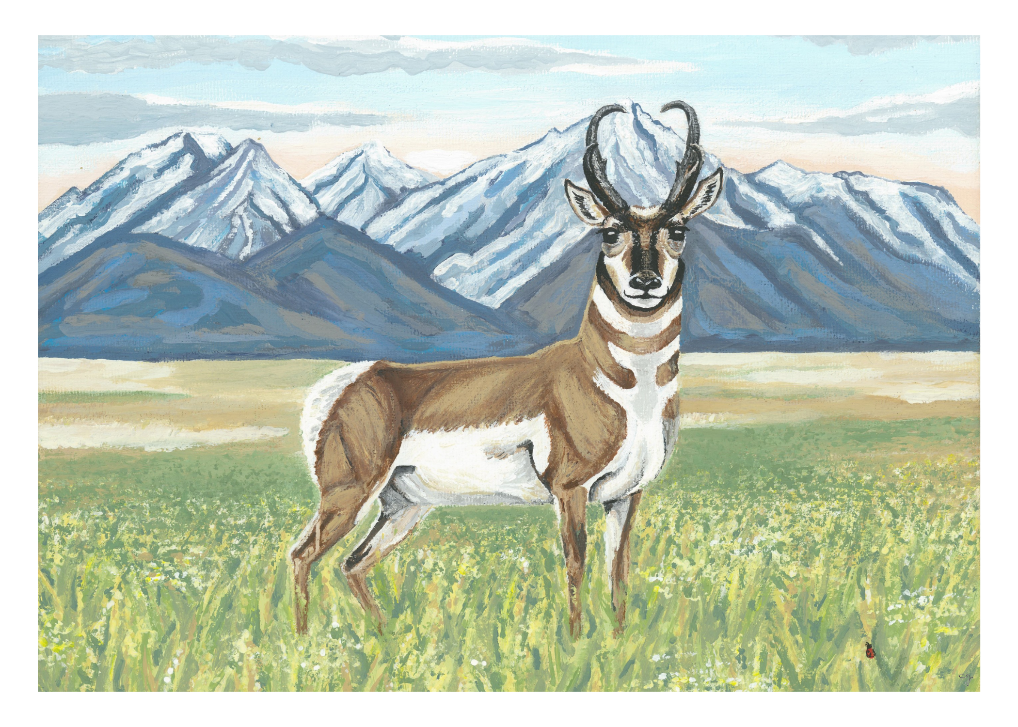0004-Landscape Pronghorn (5x7)-FINAL.png