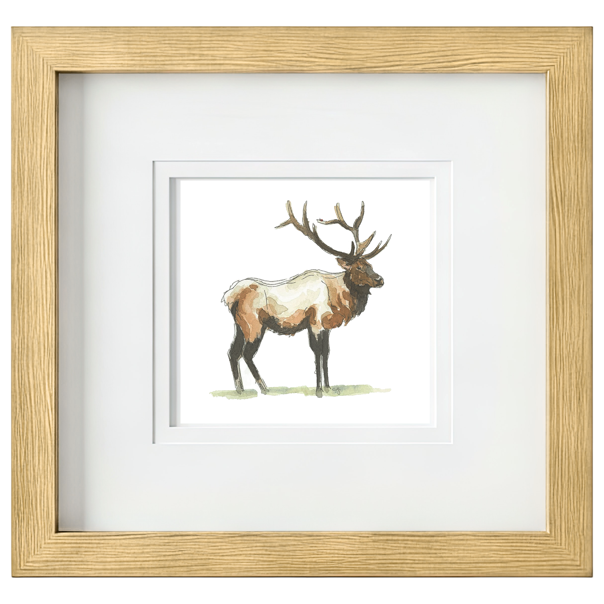 Elk (12x12).png