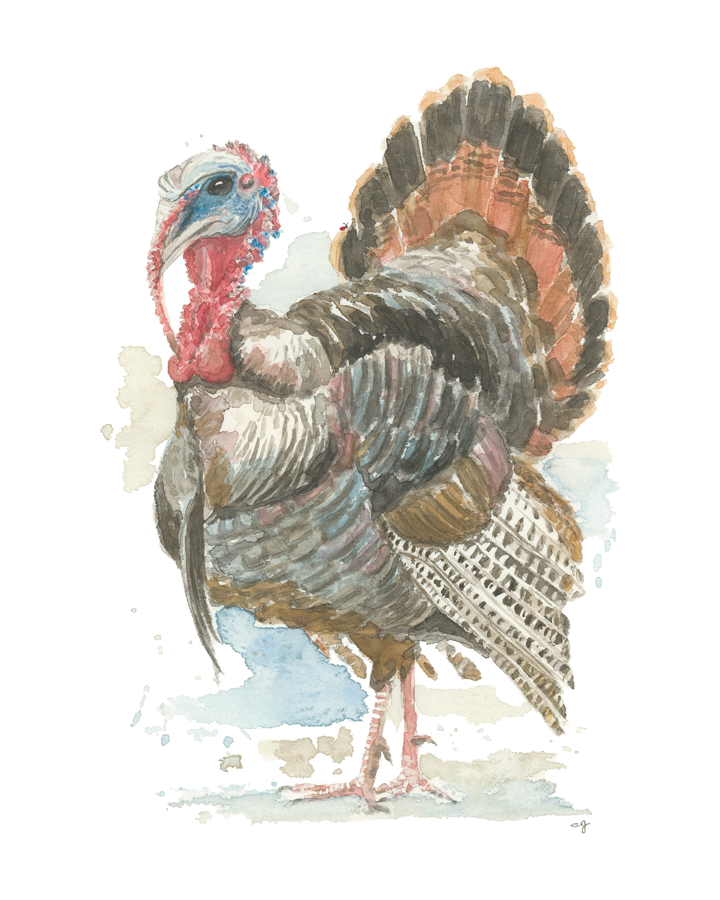 Turkey