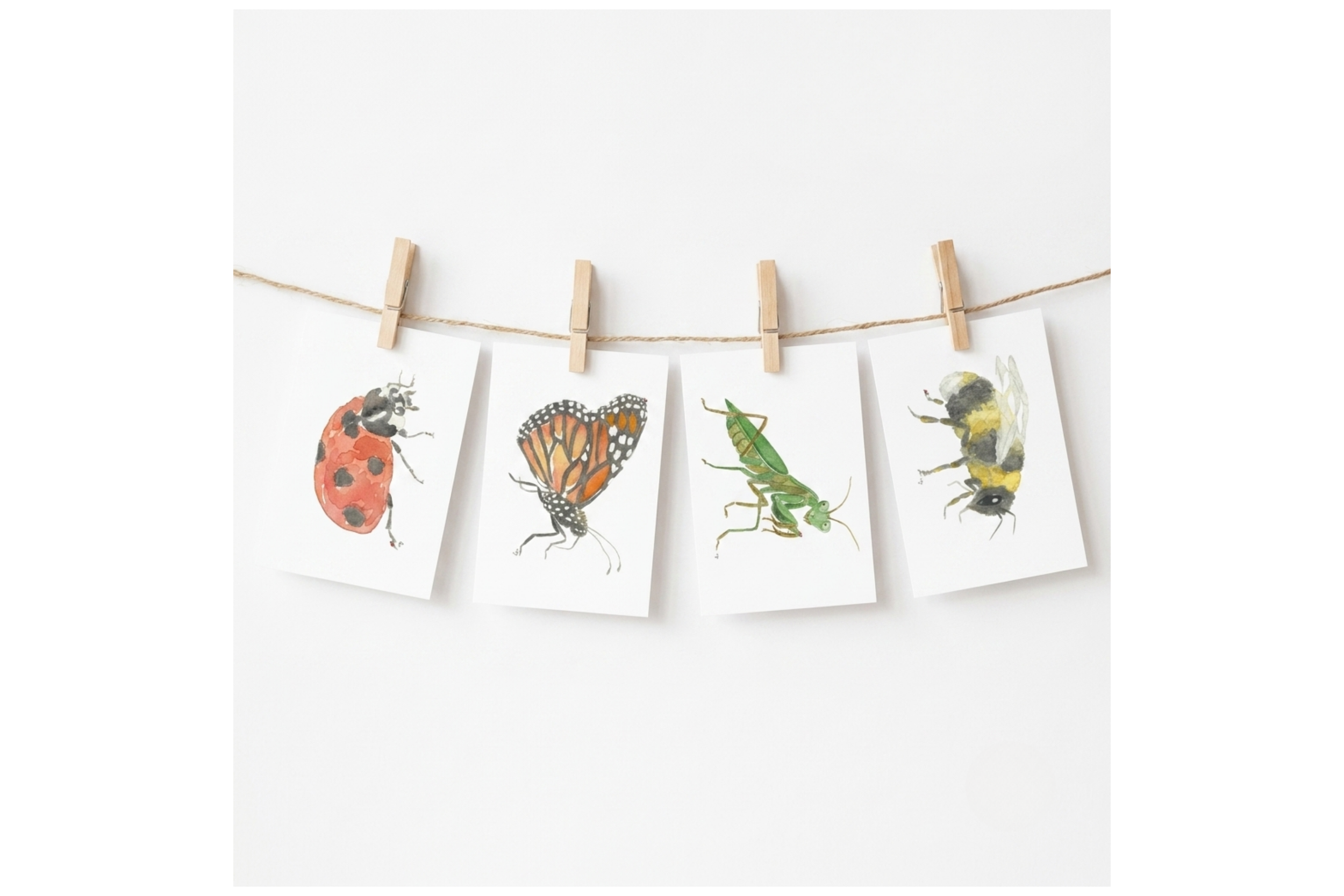 The Garden Bugs Collection (Set of 4)