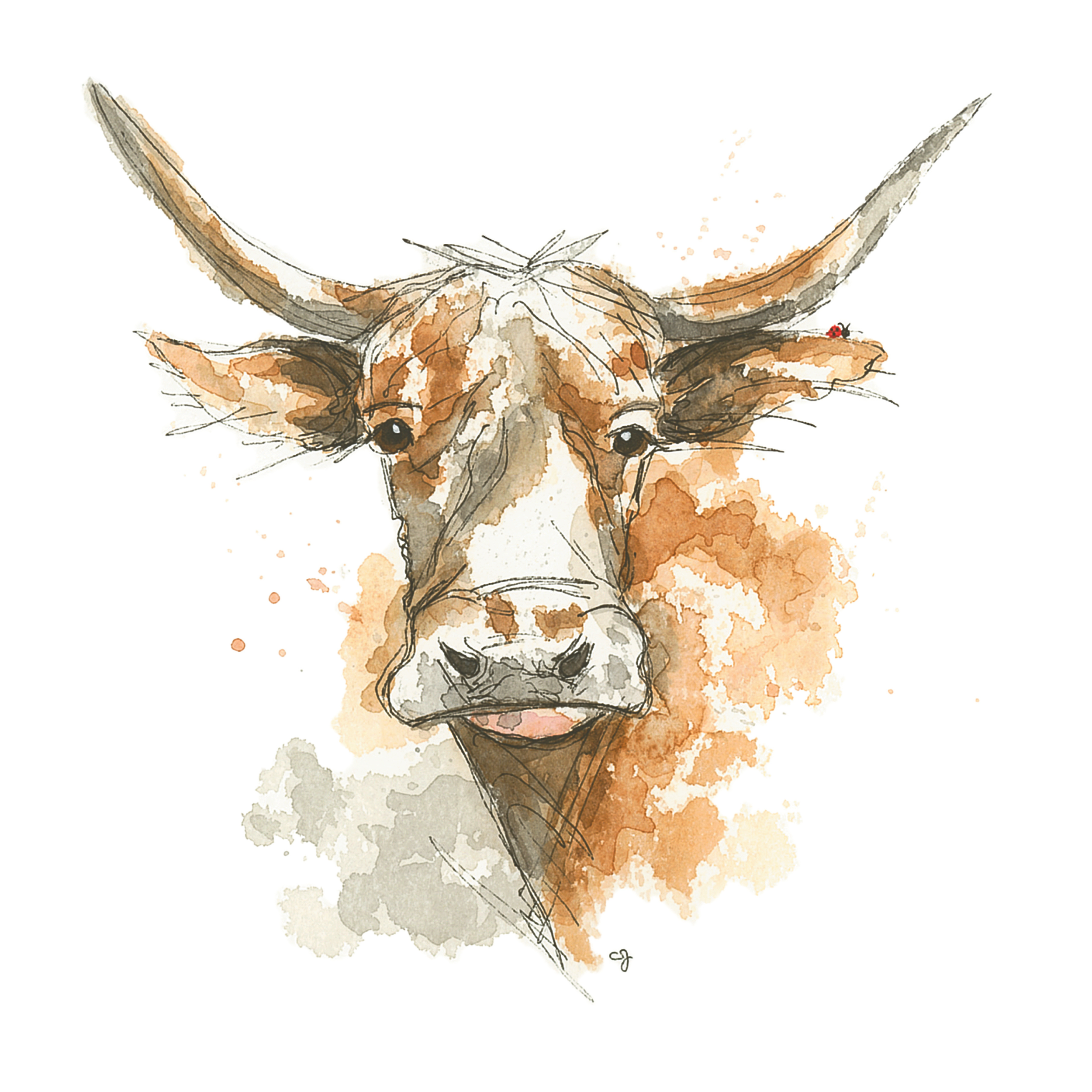 Longhorn