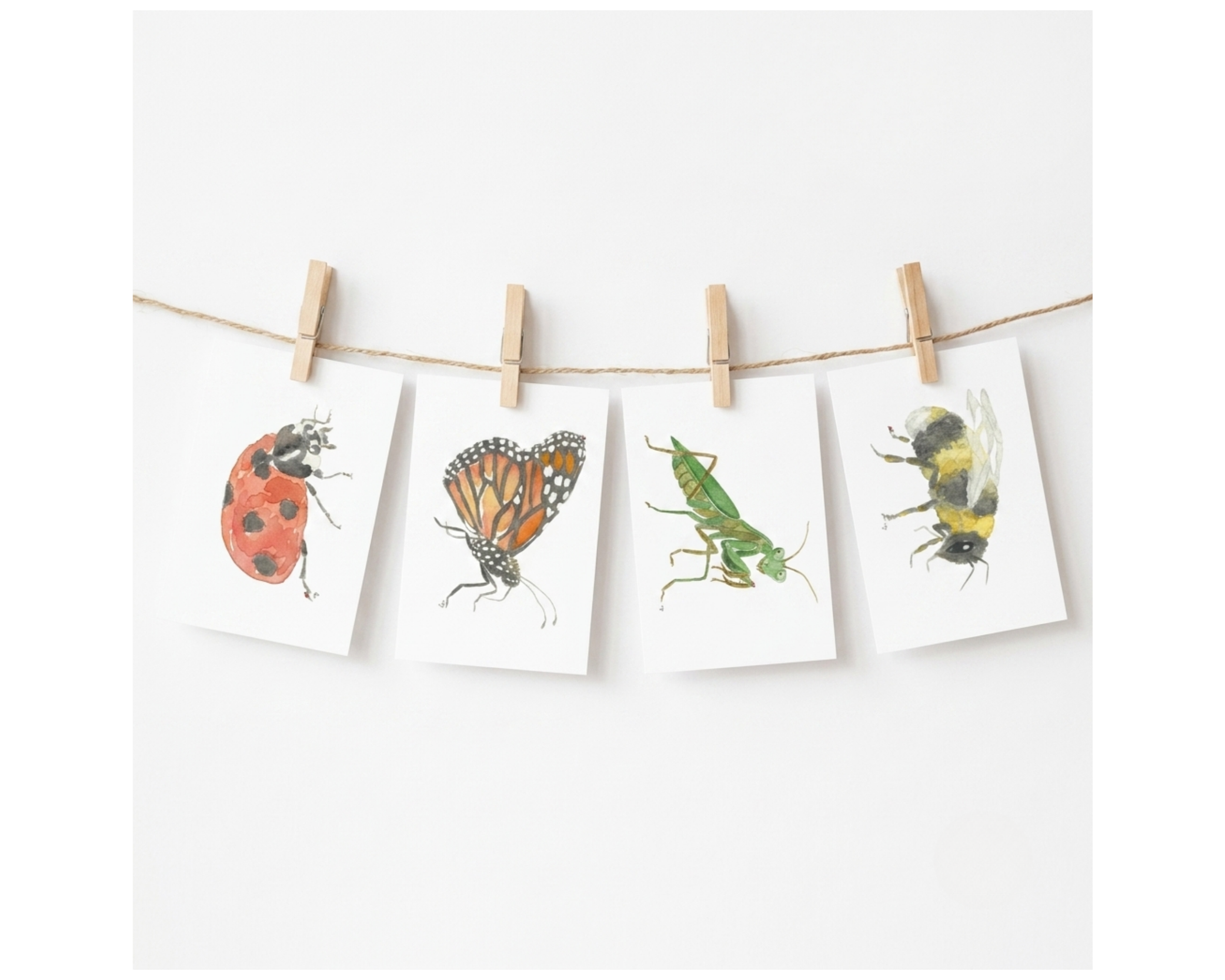 The Garden Bugs Collection (Set of 4)