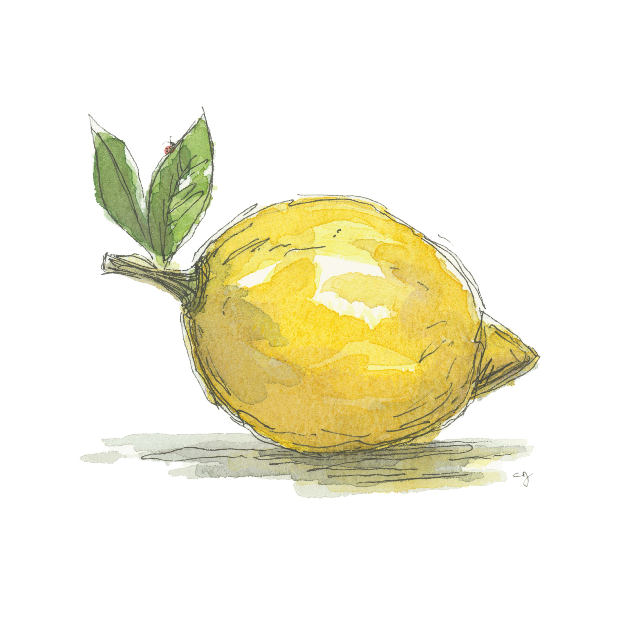 Lemon (12x12).png