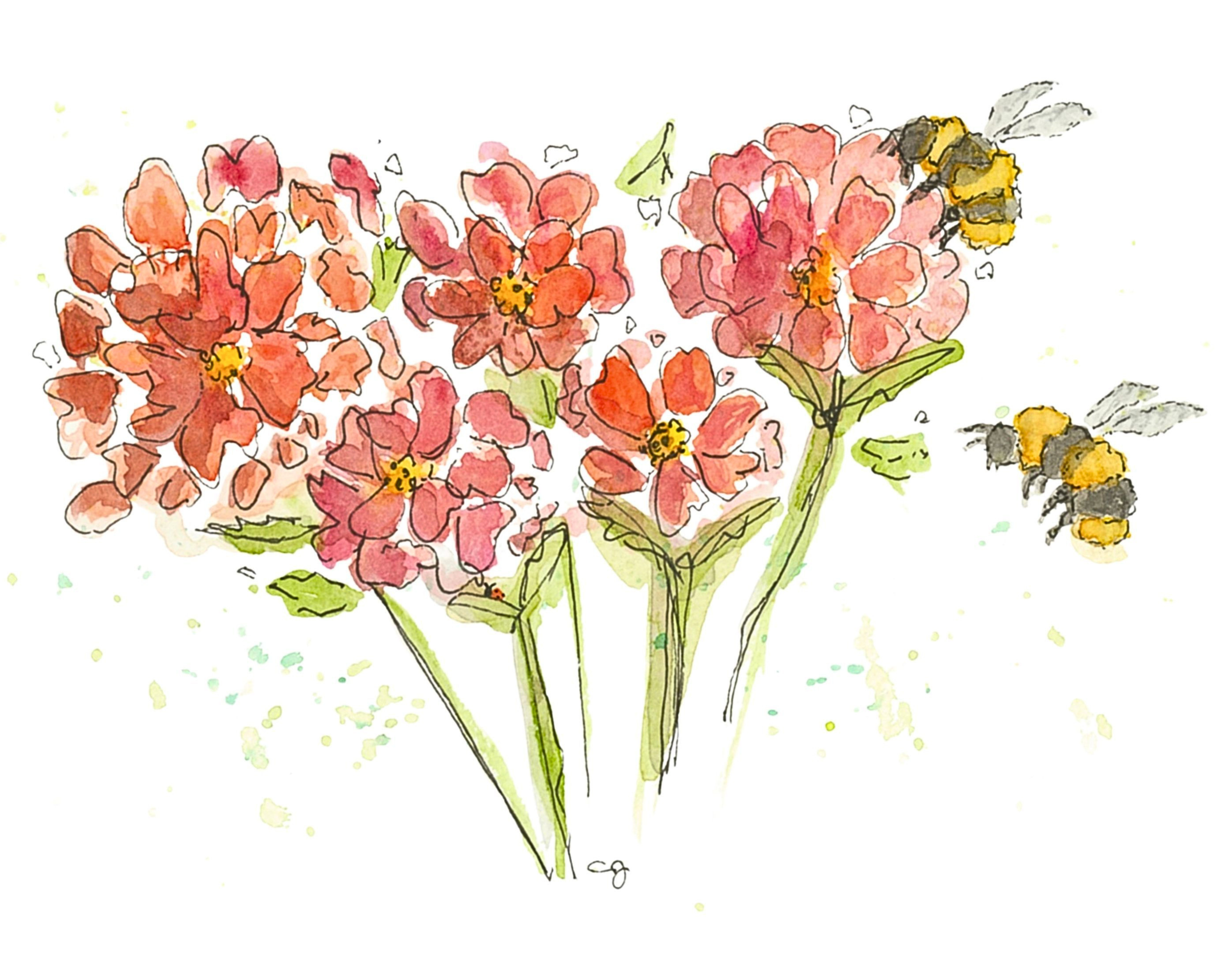 Wings & Wildflowers