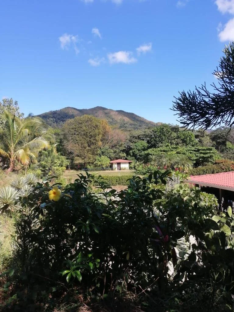 Mountain landscape with clear blue sky, scattered white clouds, lush green trees, and a small white building with a red roof in the middle ground, surrounded by tropical plants.