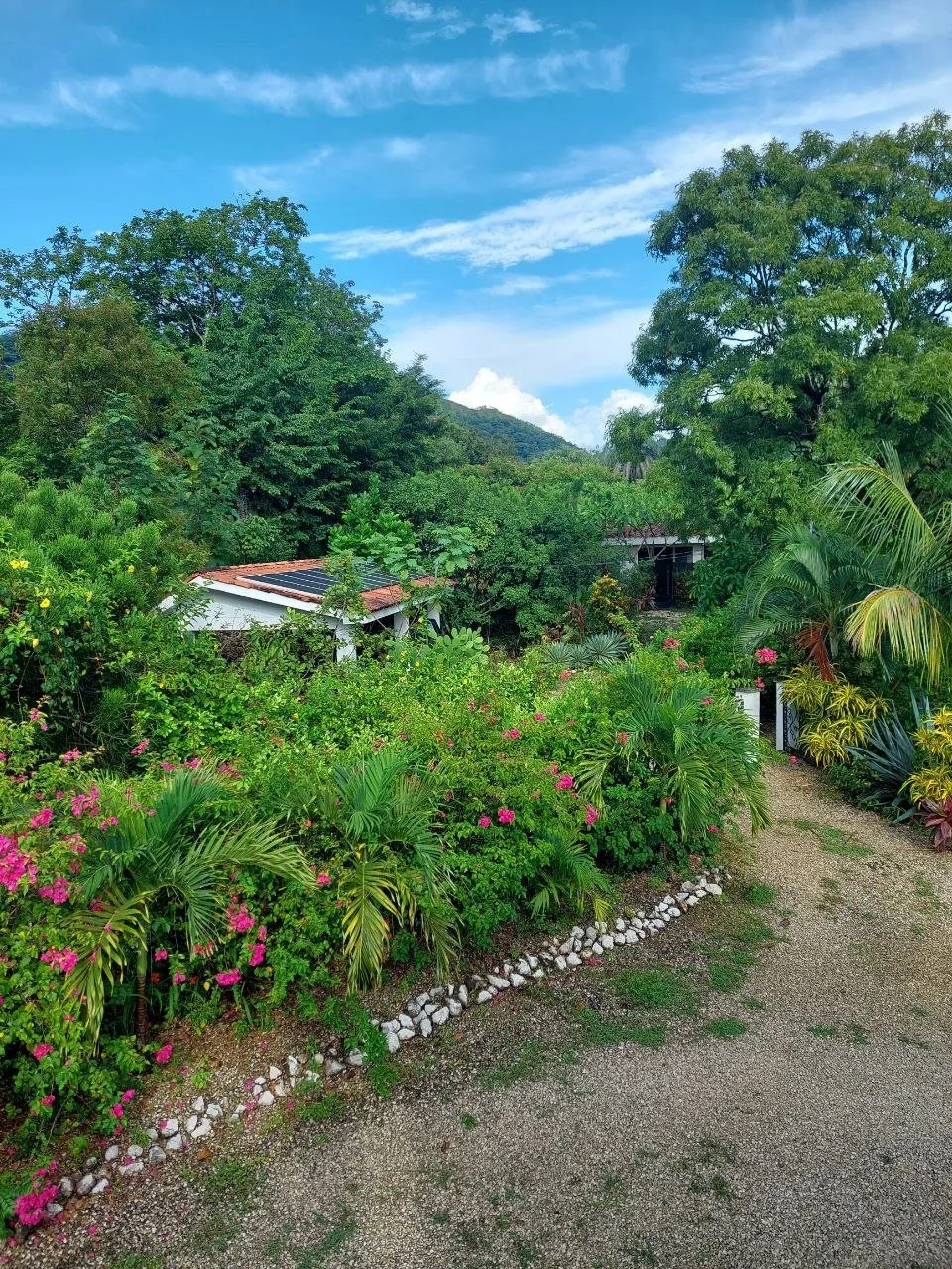 A scenic view of a lush garden with colorful flowers and green trees, under a partly cloudy blue sky.