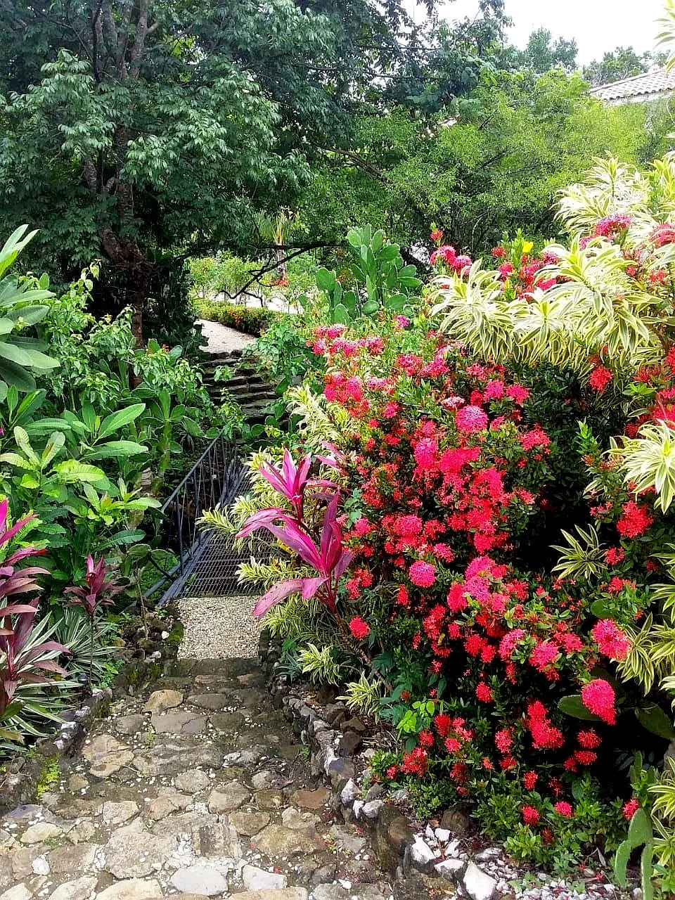 A lush garden pathway made of cobblestones and stepping stones, bordered by vibrant pink and white flowering bushes and various green plants, with tall trees providing shade in the background.