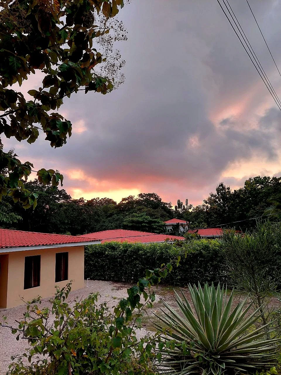 A suburban scene at sunset with cloudy sky, houses with red roofs, trees, and desert plants in the foreground.