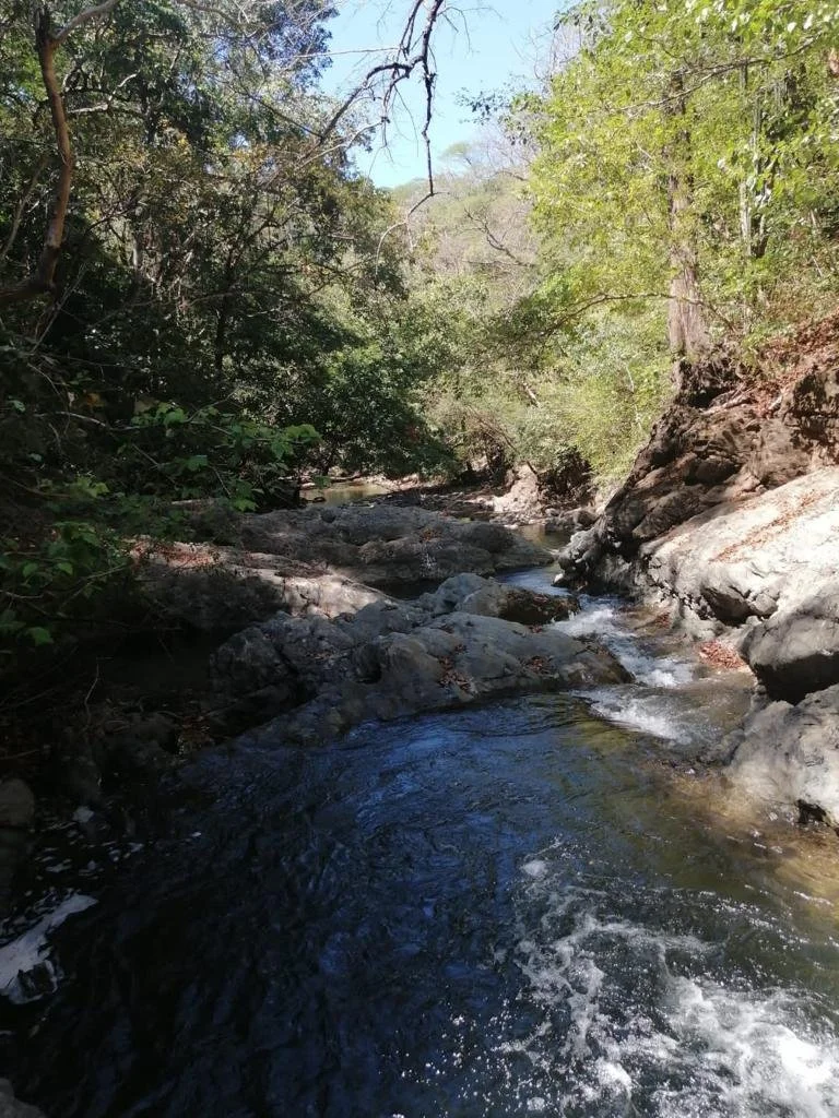A small mountain stream flowing through a forested area with rocks and green trees on both sides.