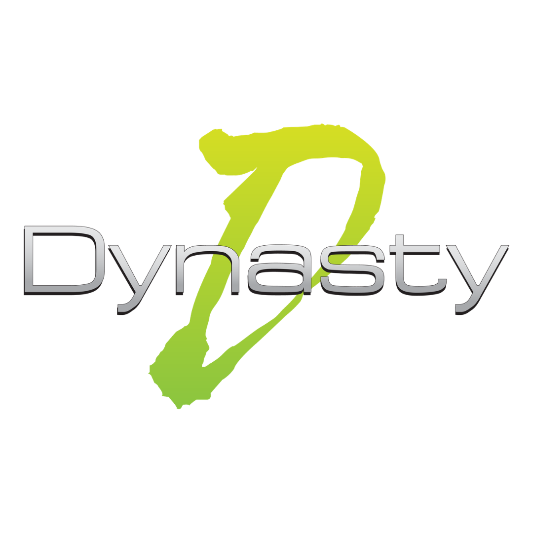 Dynasty - high quality car multimedia