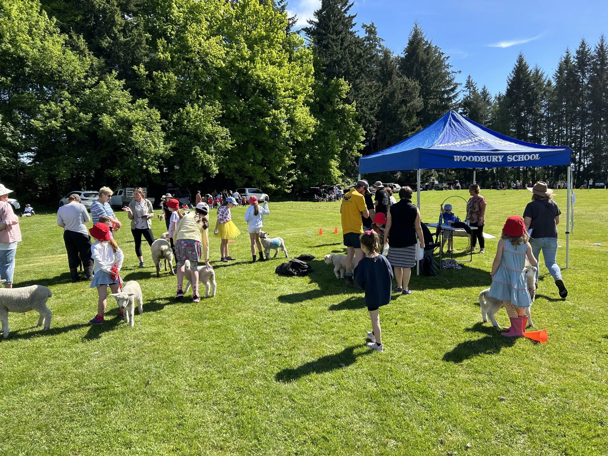 A large outdoor gathering at a park under a blue tent labeled 'Woodbury School.' People and children are mingling and playing on the grass, some with sheep or goats. The scene is sunny with green trees and a clear sky in the background.