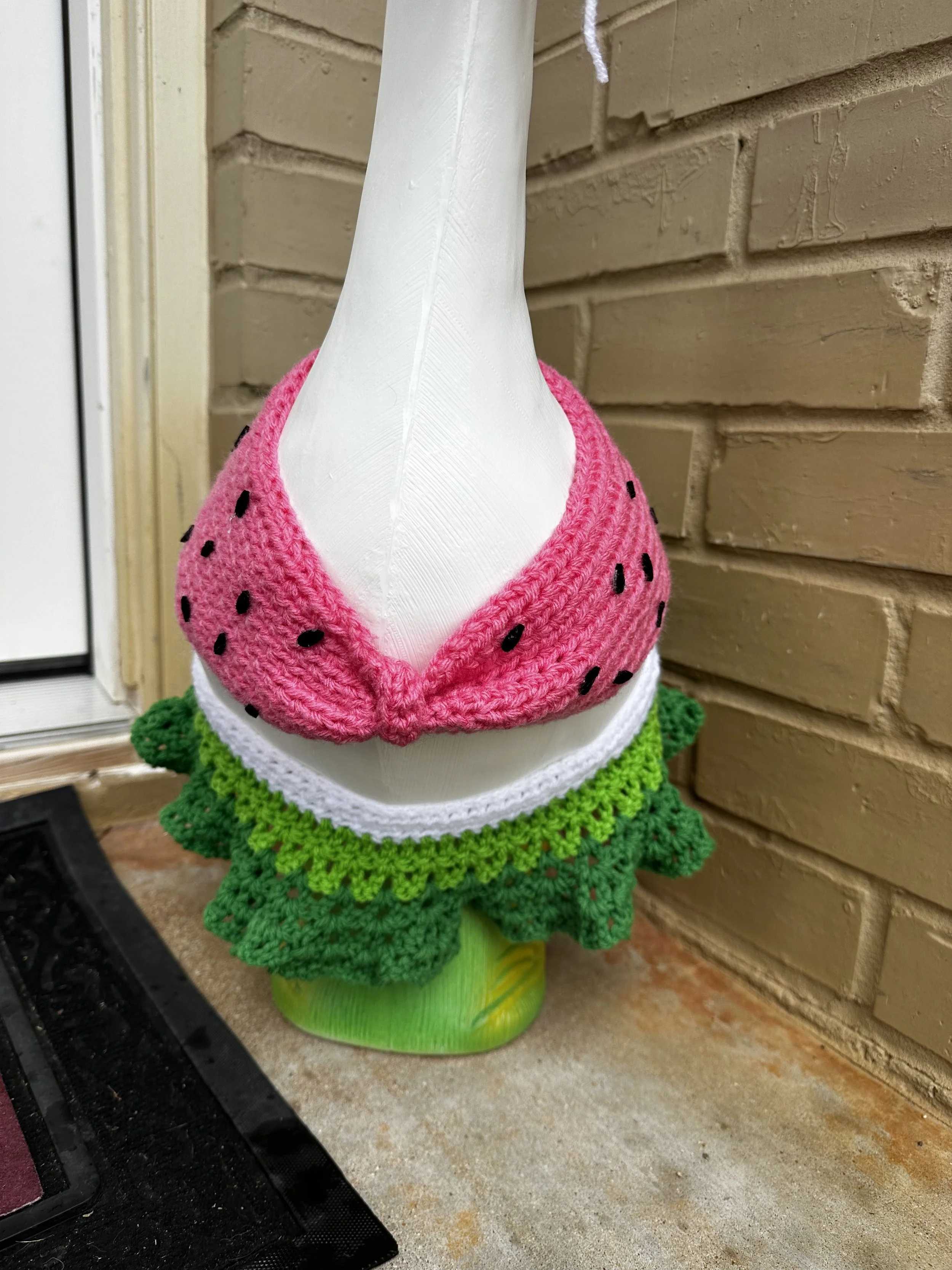 watermelon goose bikini.jpg