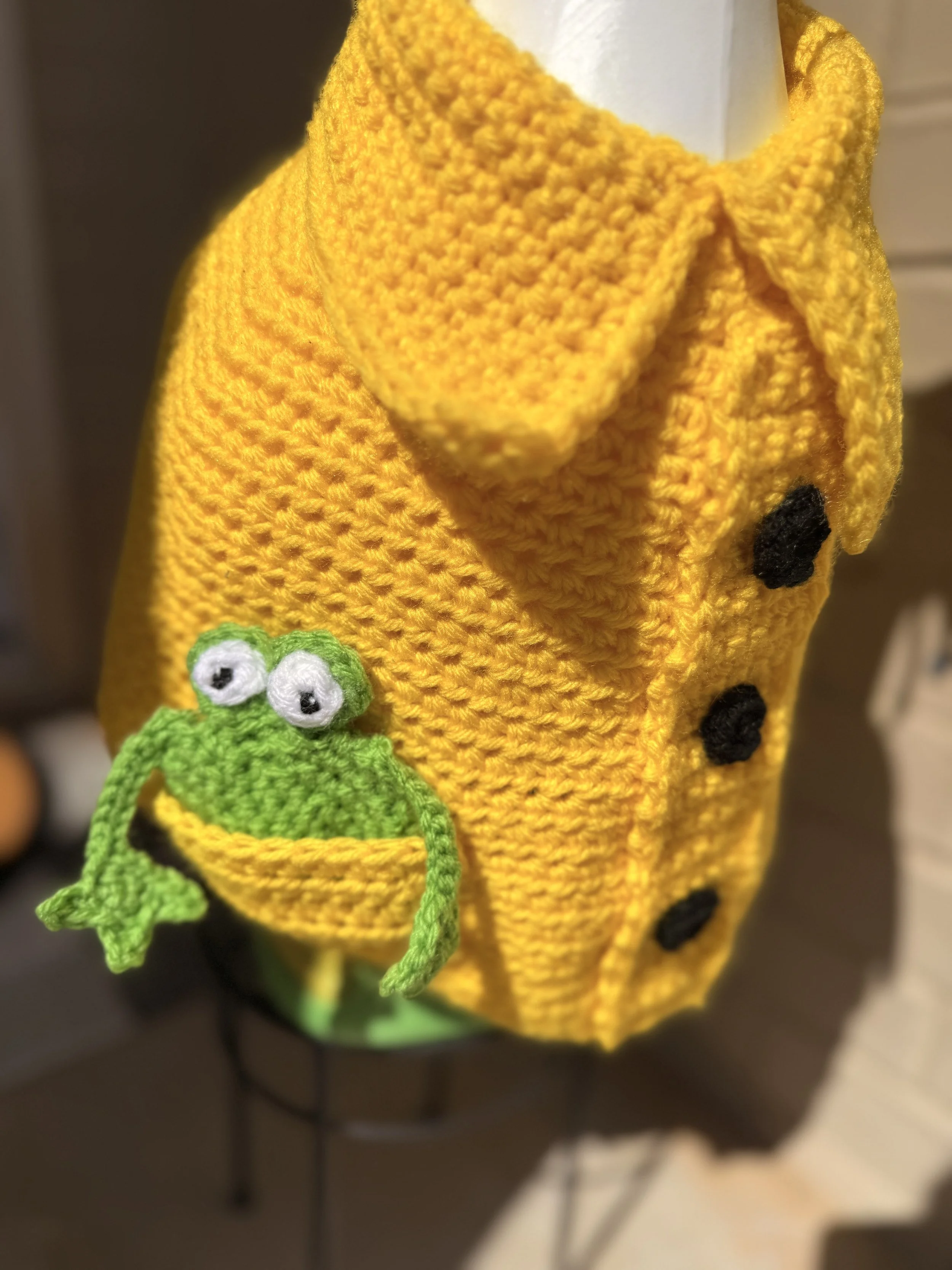 Coat with frog goose outfit.jpeg