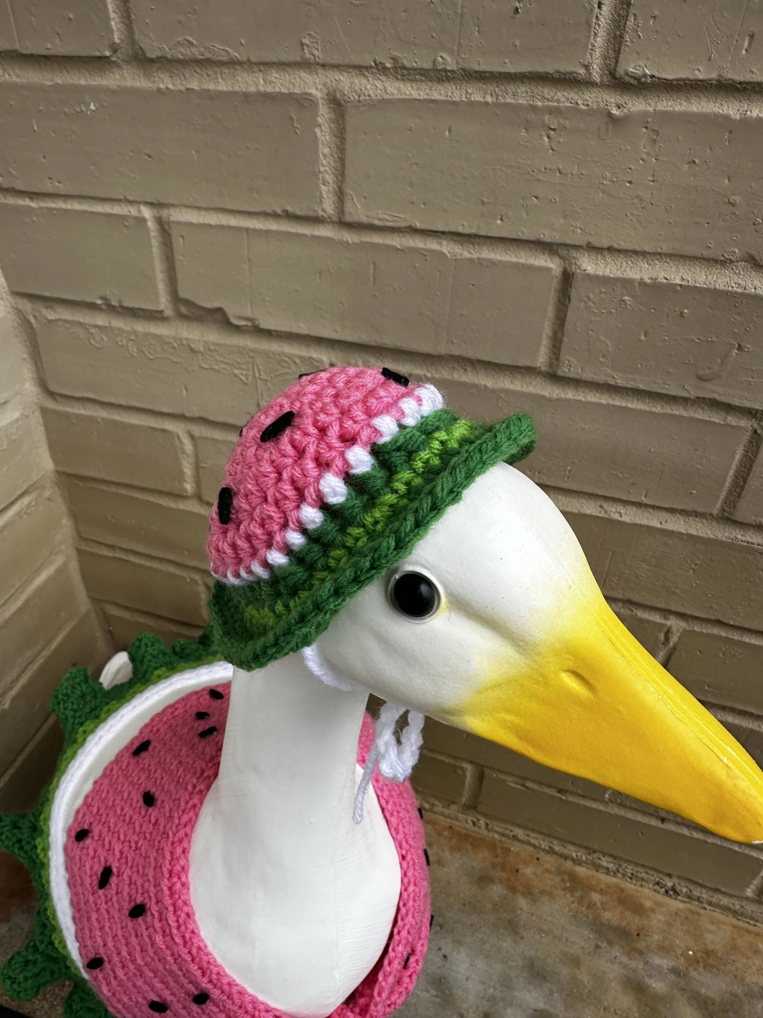 summertime goose outfit.jpg