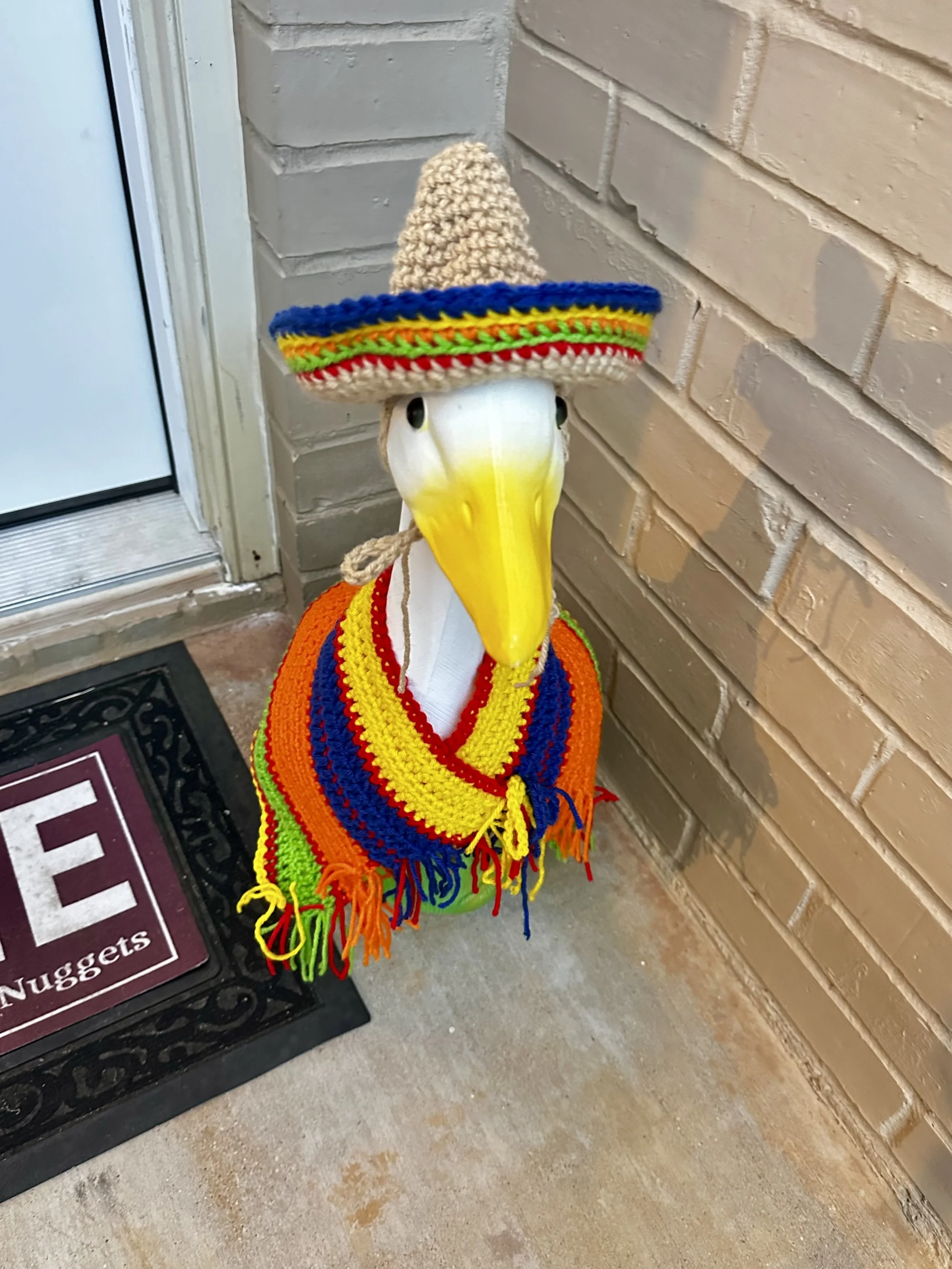 Cinco De Mayo Goose Outfit.jpg