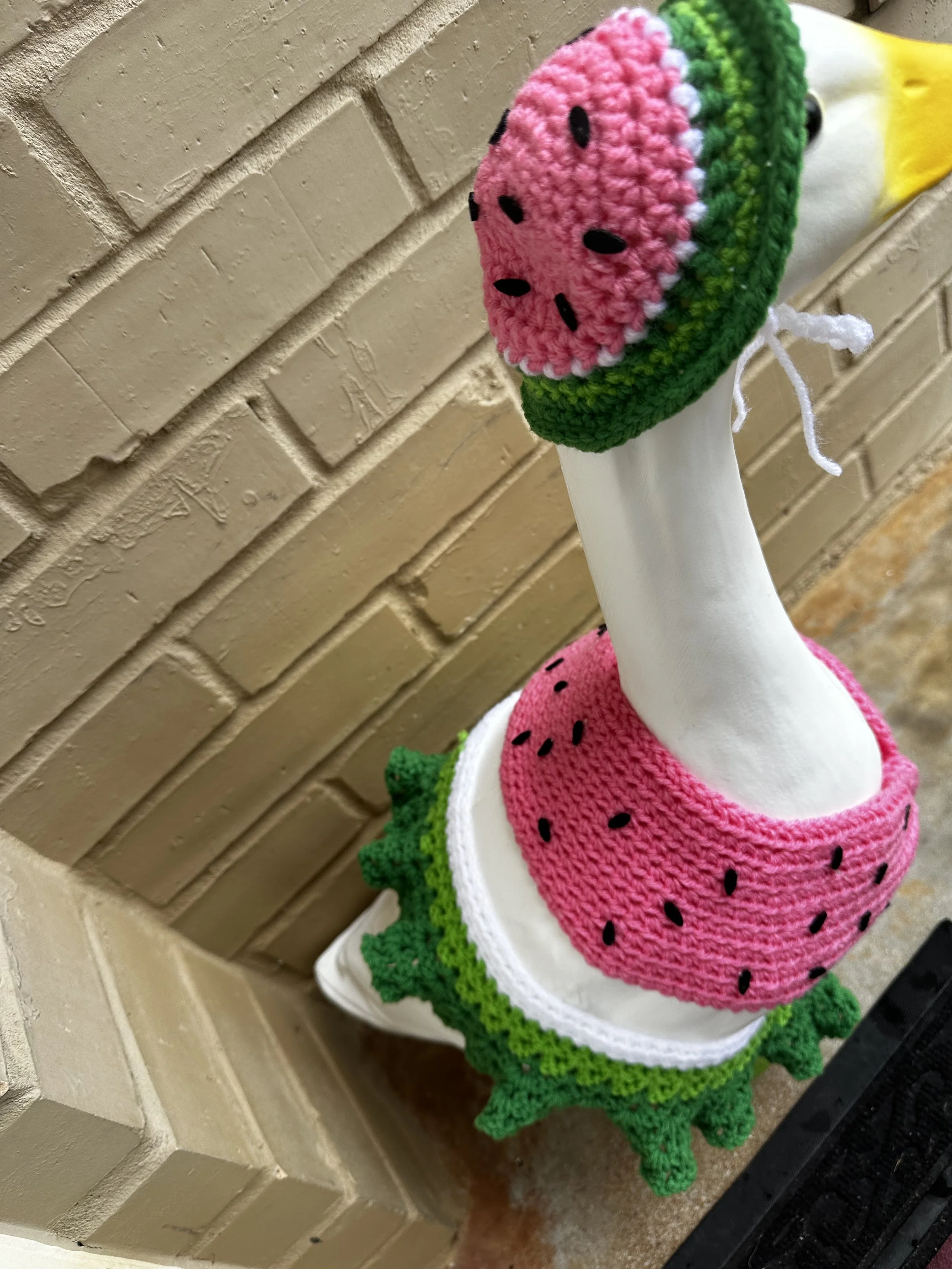 watermelon summer goose bikini.jpg