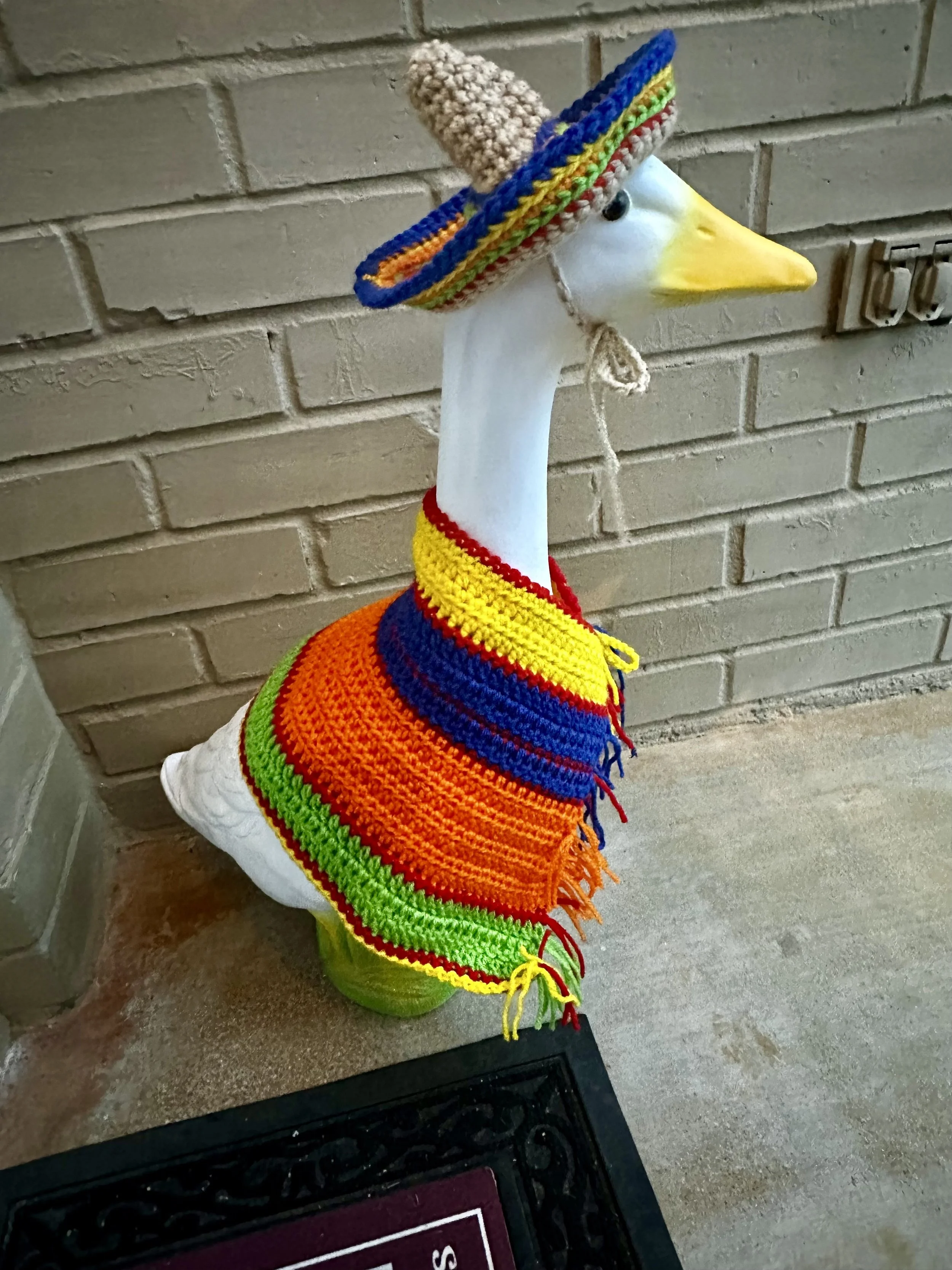 Sombrero and Ponch Goose Outfit.jpg