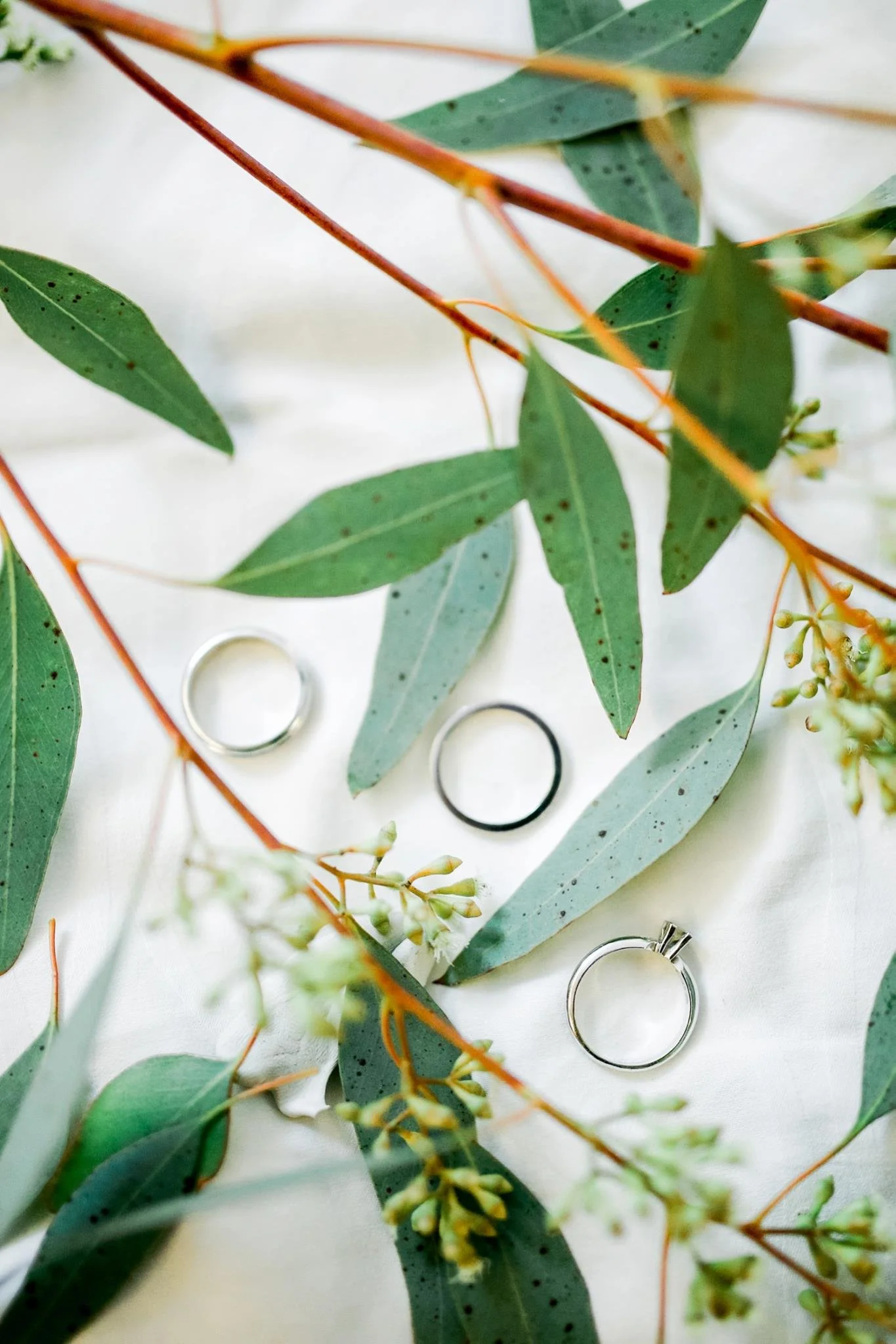 Several green leaves and small white flowers, with some silver wedding rings placed on a white surface.