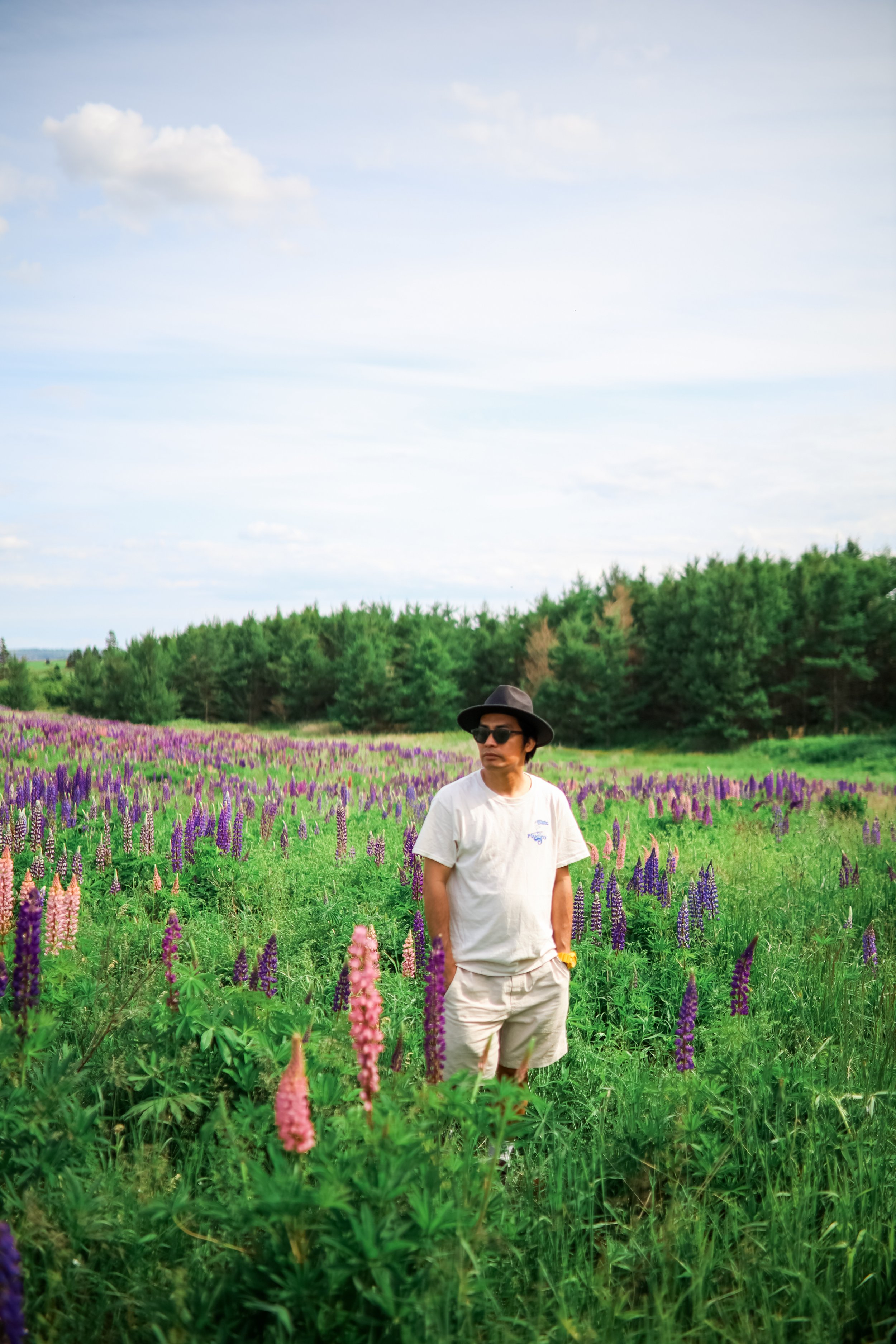 A man standing in a field of blooming purple and pink lupine flowers, wearing a white t-shirt, beige shorts, a black hat, and sunglasses, with a background of trees and a partly cloudy sky.