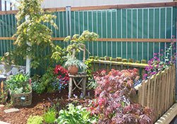 garden.jpg
