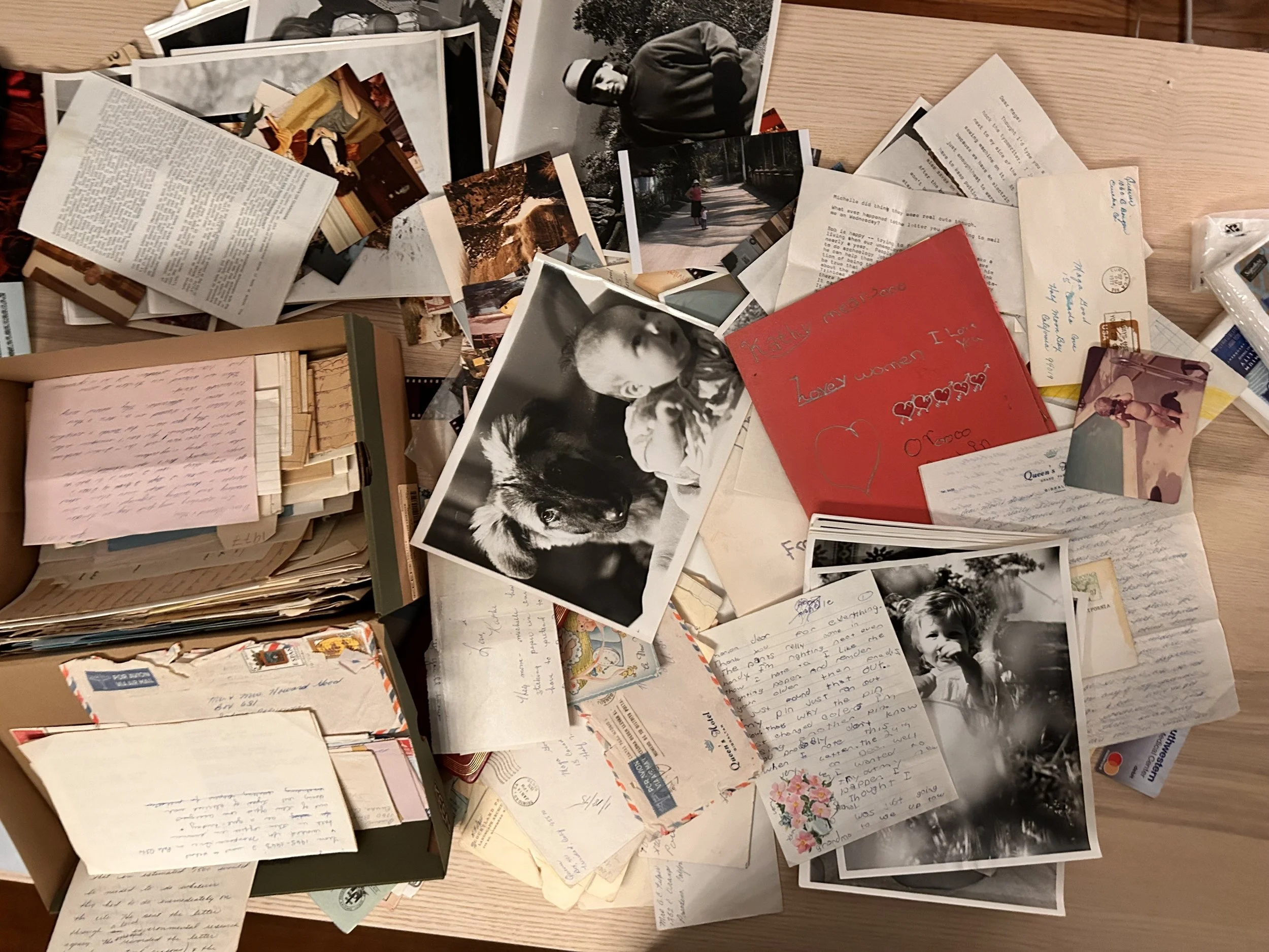 Amnesia: Albums Of Poloroid Pictures