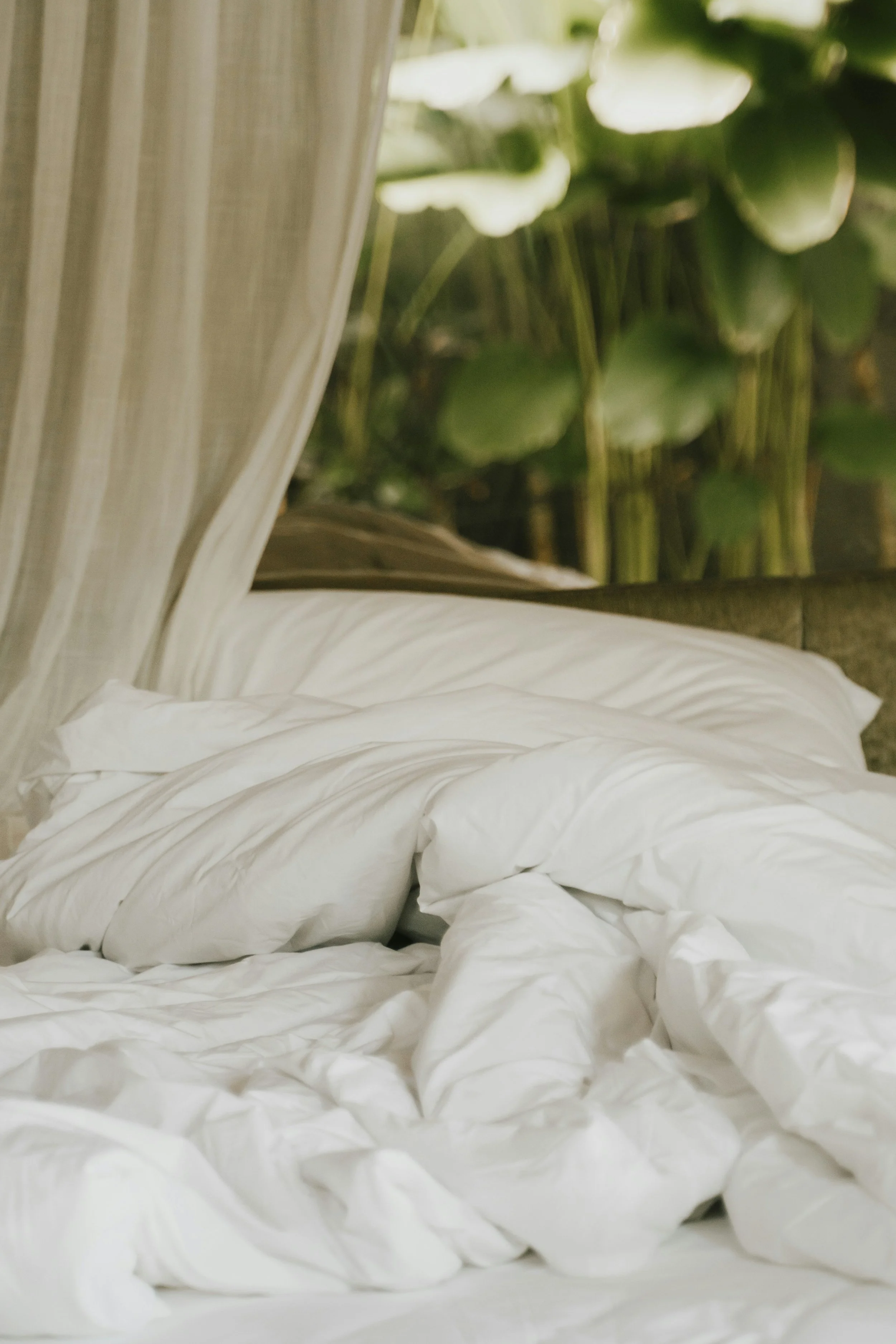 Wellness Beyond the Treatment Room: The Psychology of Communication in the Guest Experience