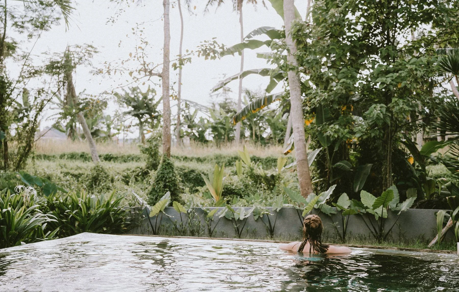 Person swimming in an outdoor pool surrounded by lush green tropical plants and trees.