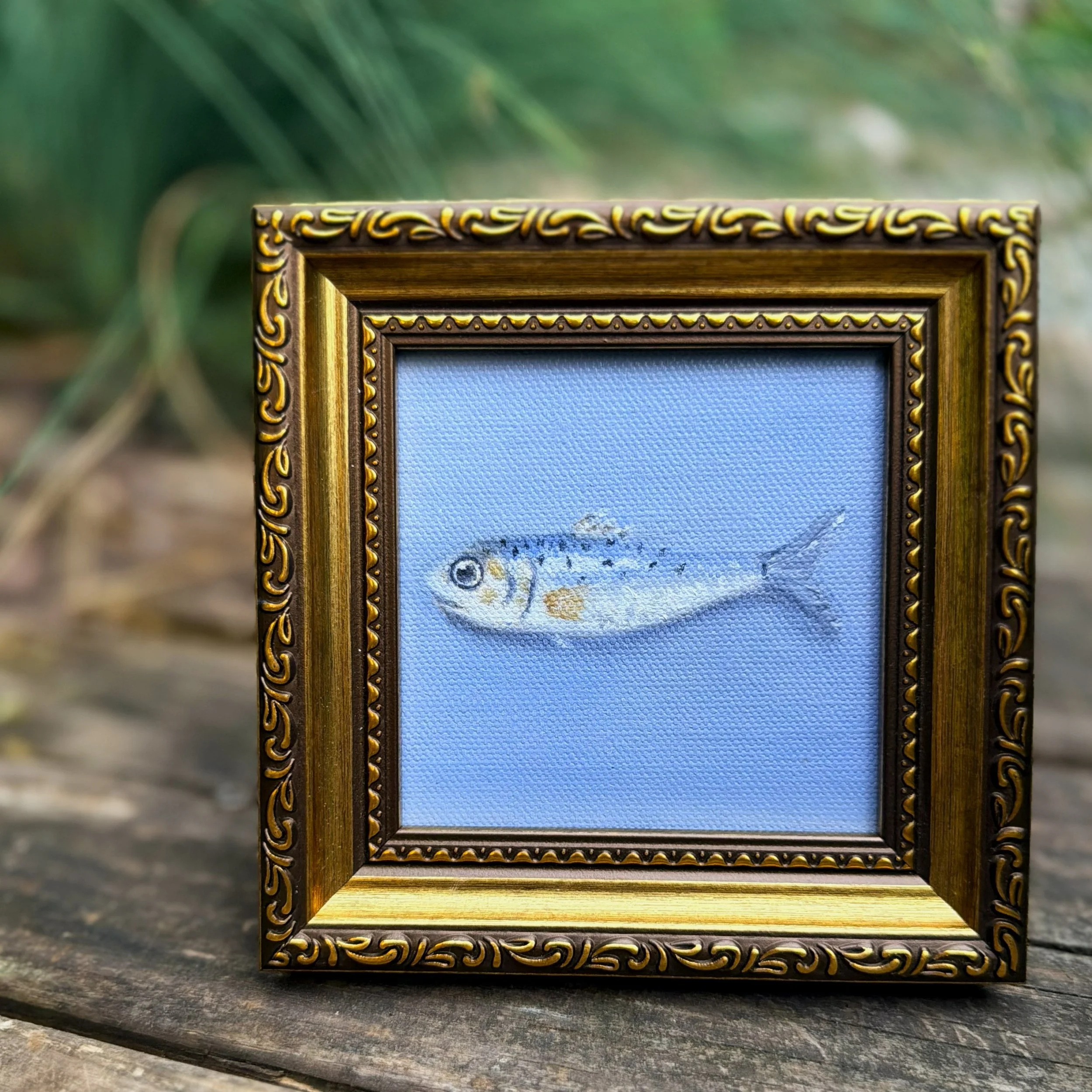 Small square sardine oil painting shown on canvas board, ready to frame or display as part of a collected wall.