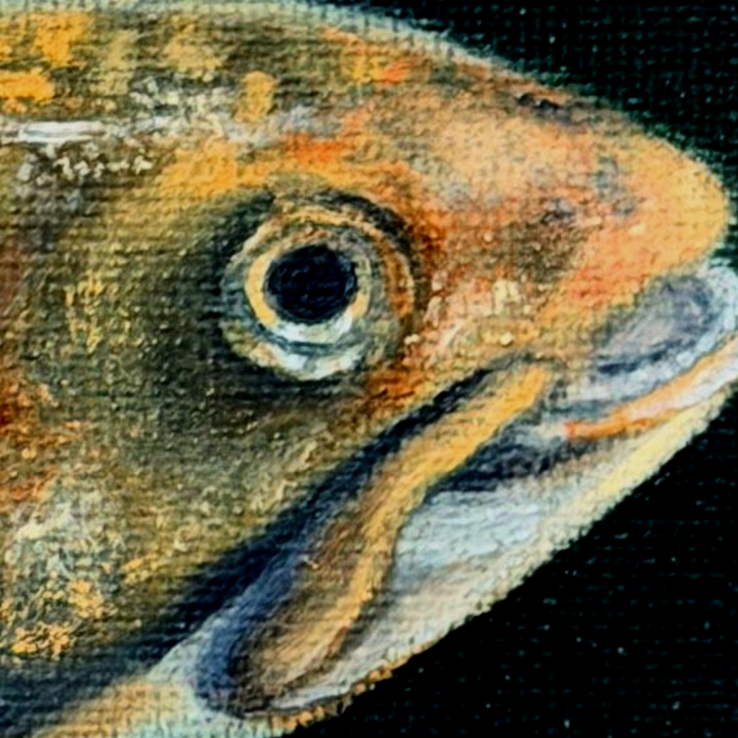 Close-up of a brook trout painted in oil with warm russet fins, golden speckles, tiny red and blue markings, reflective highlights, and visible canvas texture.