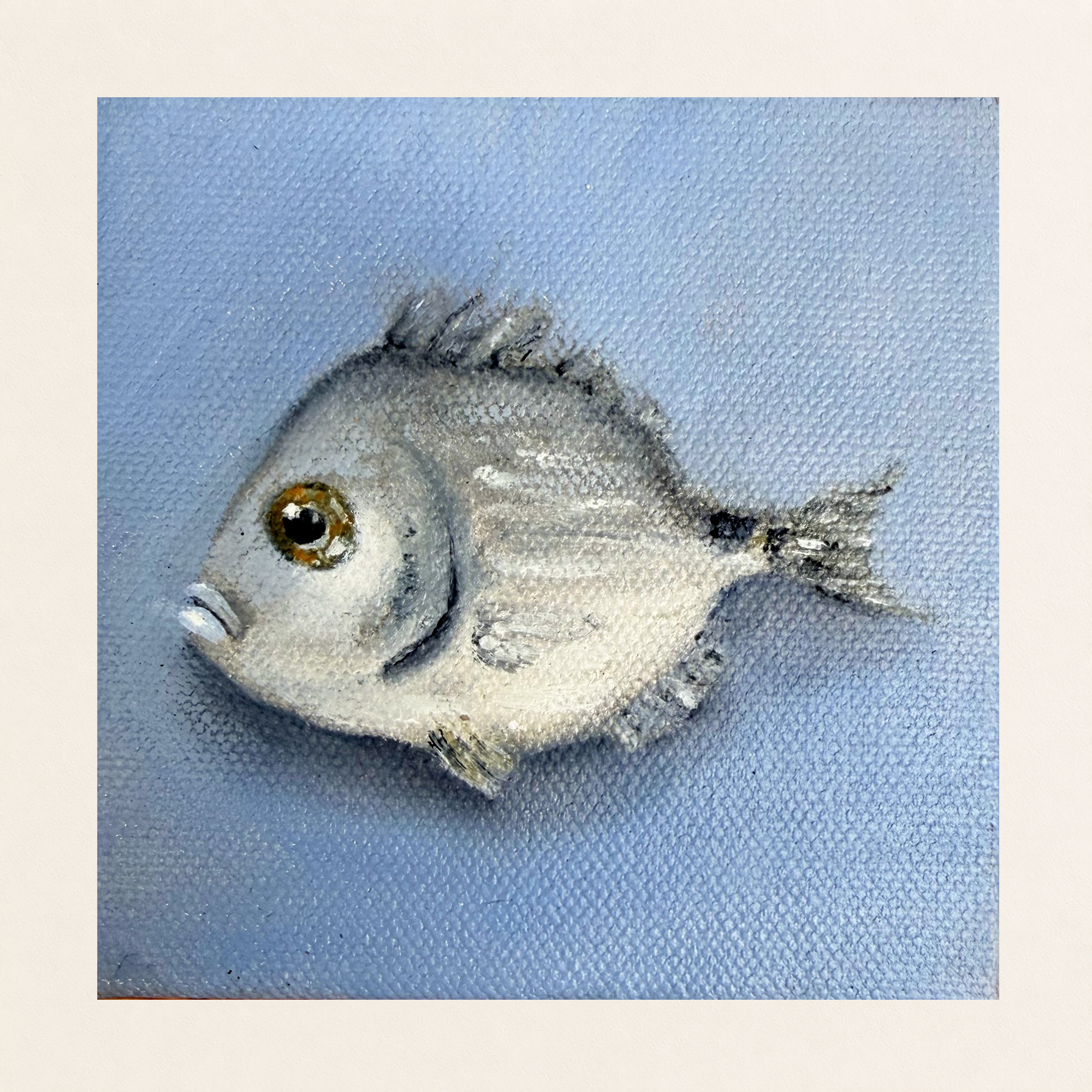 Original 4 x 4 inch oil painting of a small silver fish with a dark eye, pale fins, and soft gray-blue shadows against a textured light blue background on canvas board..png
