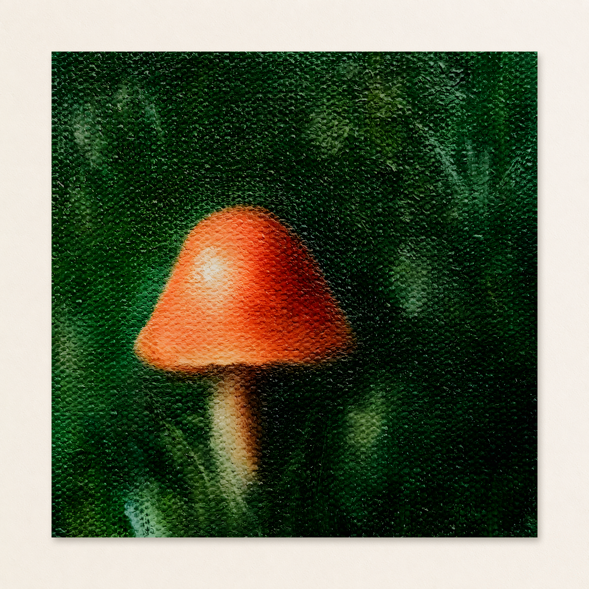 Dreamy | Still Life