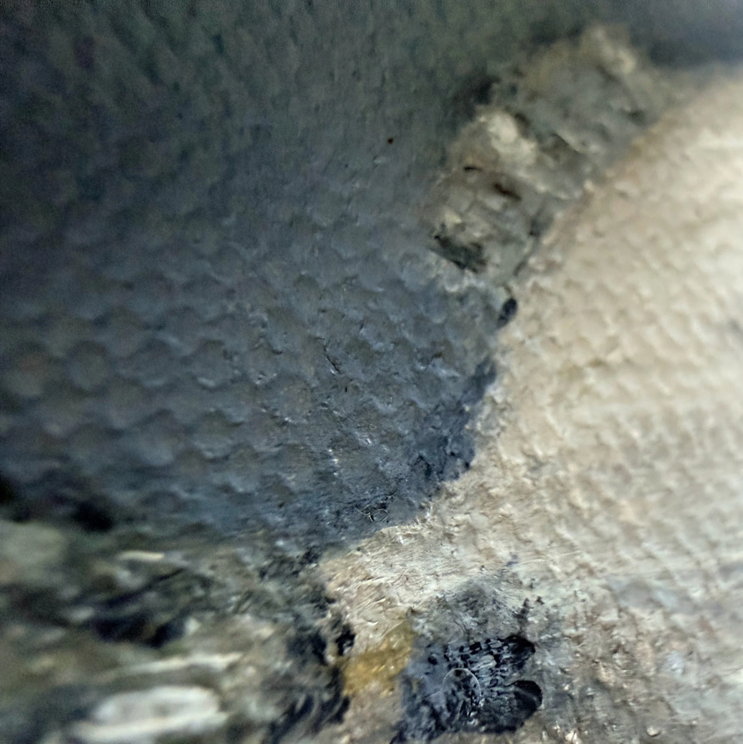 Close-up of a miniature silver fish painted in oil with loose reflective highlights, delicate fins, visible canvas texture, and a softly modeled rounded body.