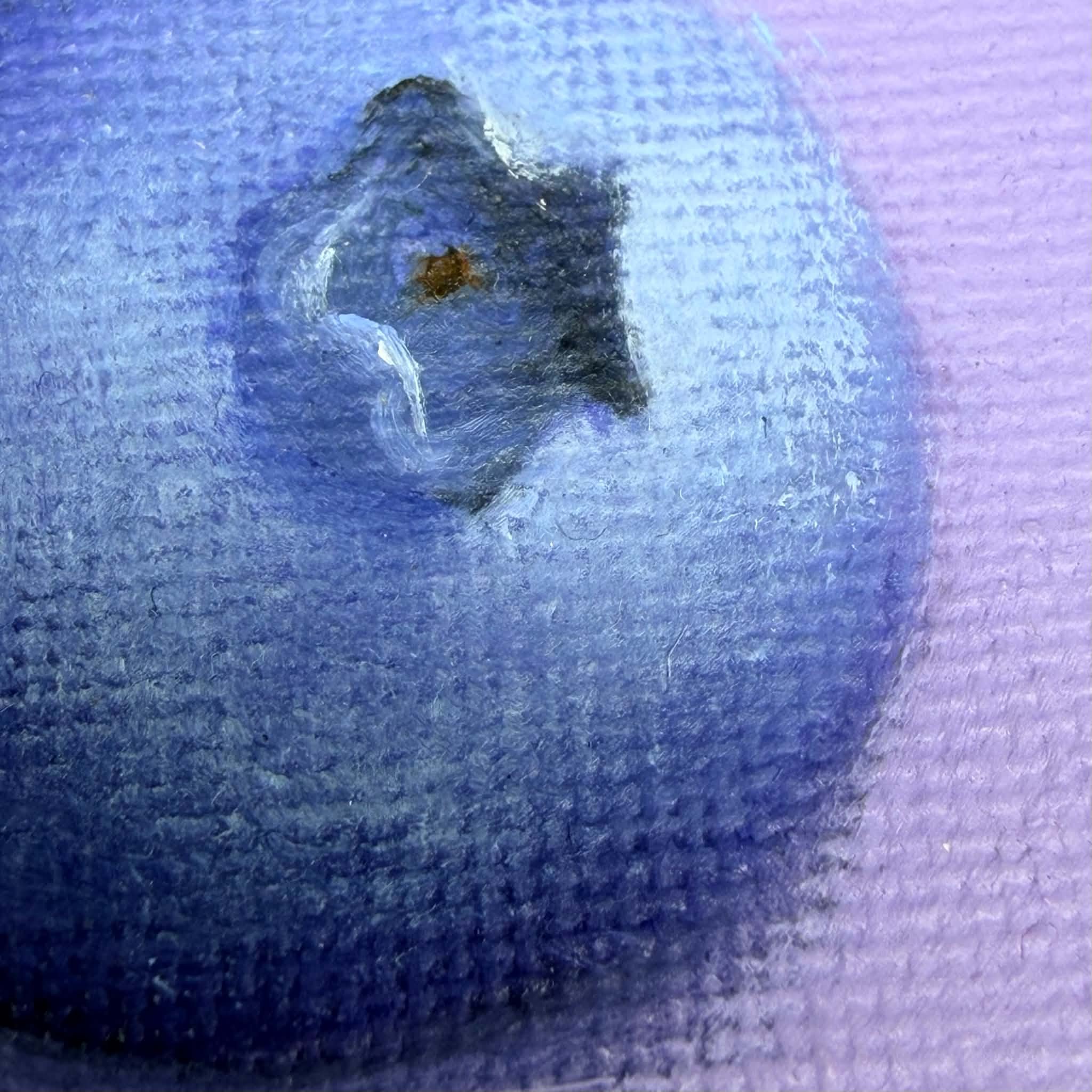 Close-up of three blueberries painted in oil with deep blue color, cool shadows, soft highlights, and visible canvas texture.