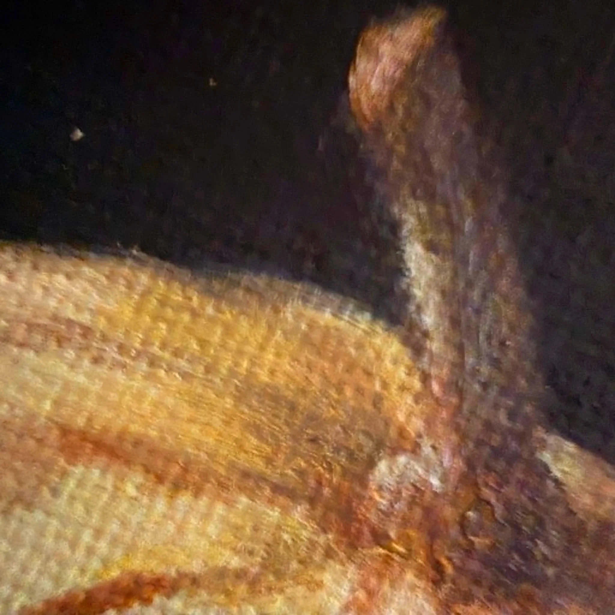 Close-up of a miniature gourd painted in oil with warm yellow and peach tones, soft ridges, subtle highlights, and visible canvas texture.