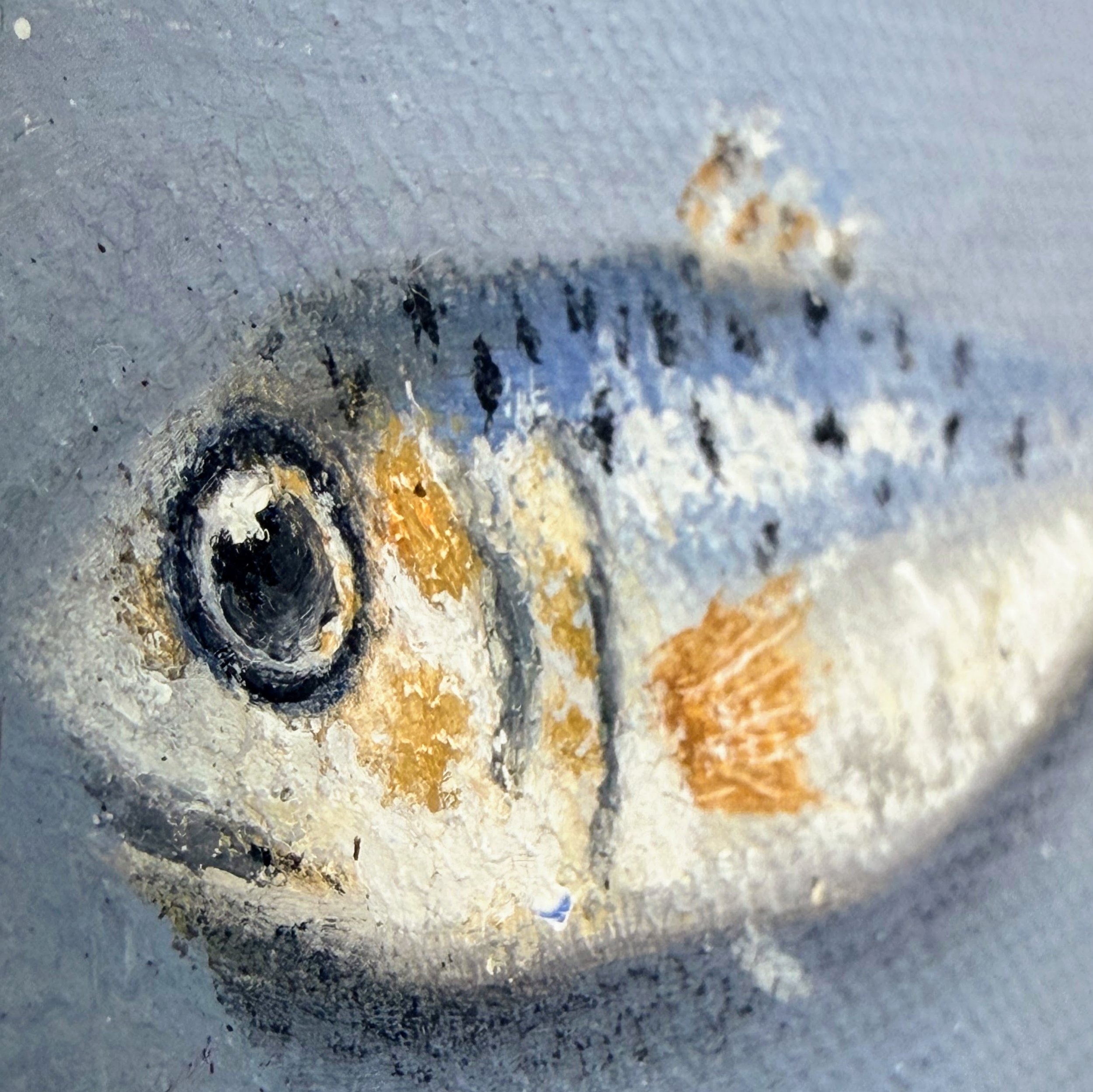 Close-up of a miniature sardine painted in oil with reflective blue-silver highlights, a dark eye, small markings, and visible canvas texture.