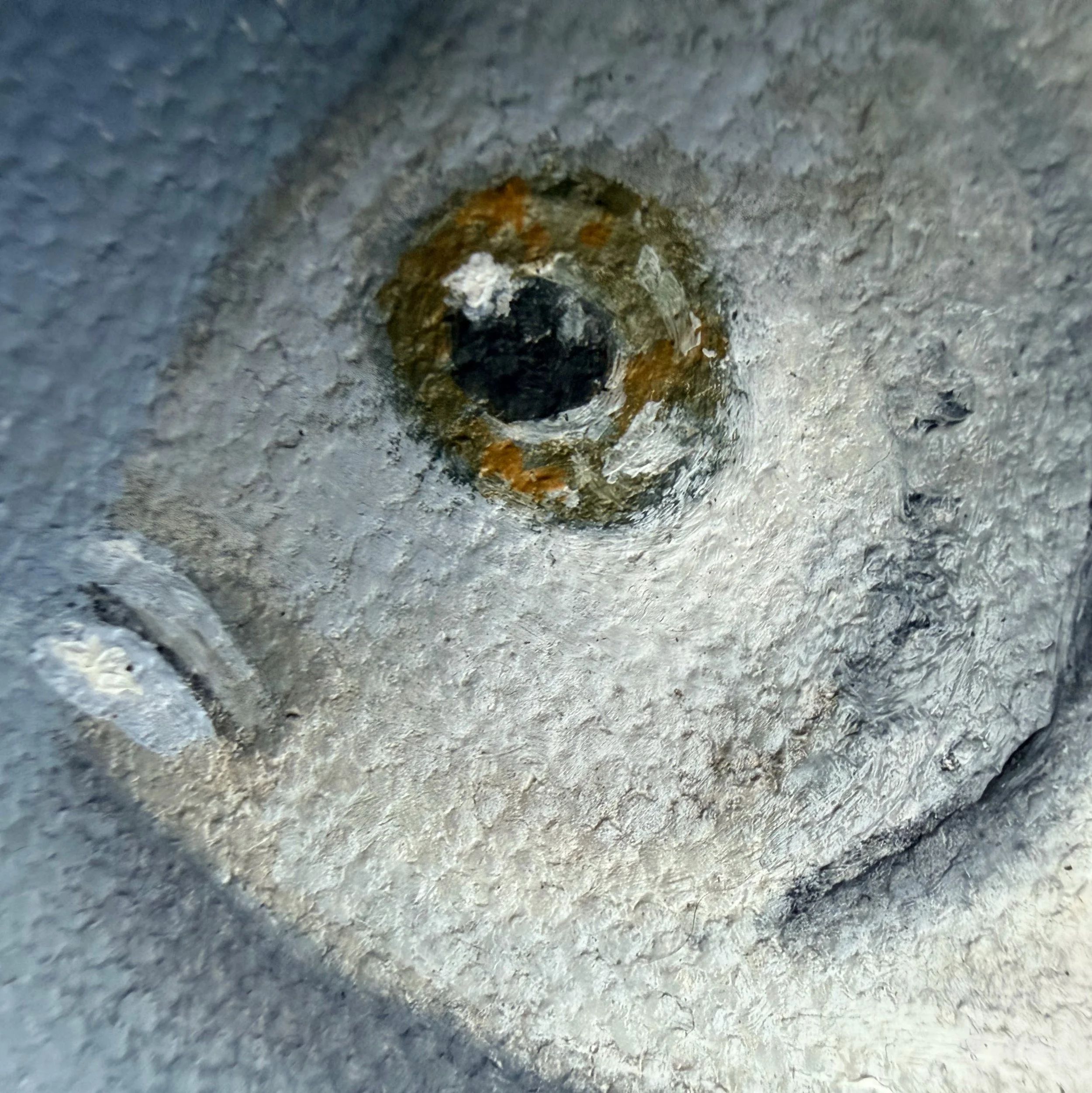 Close-up of a miniature silver fish painted in oil with loose reflective highlights, delicate fins, visible canvas texture, and a softly modeled rounded body.