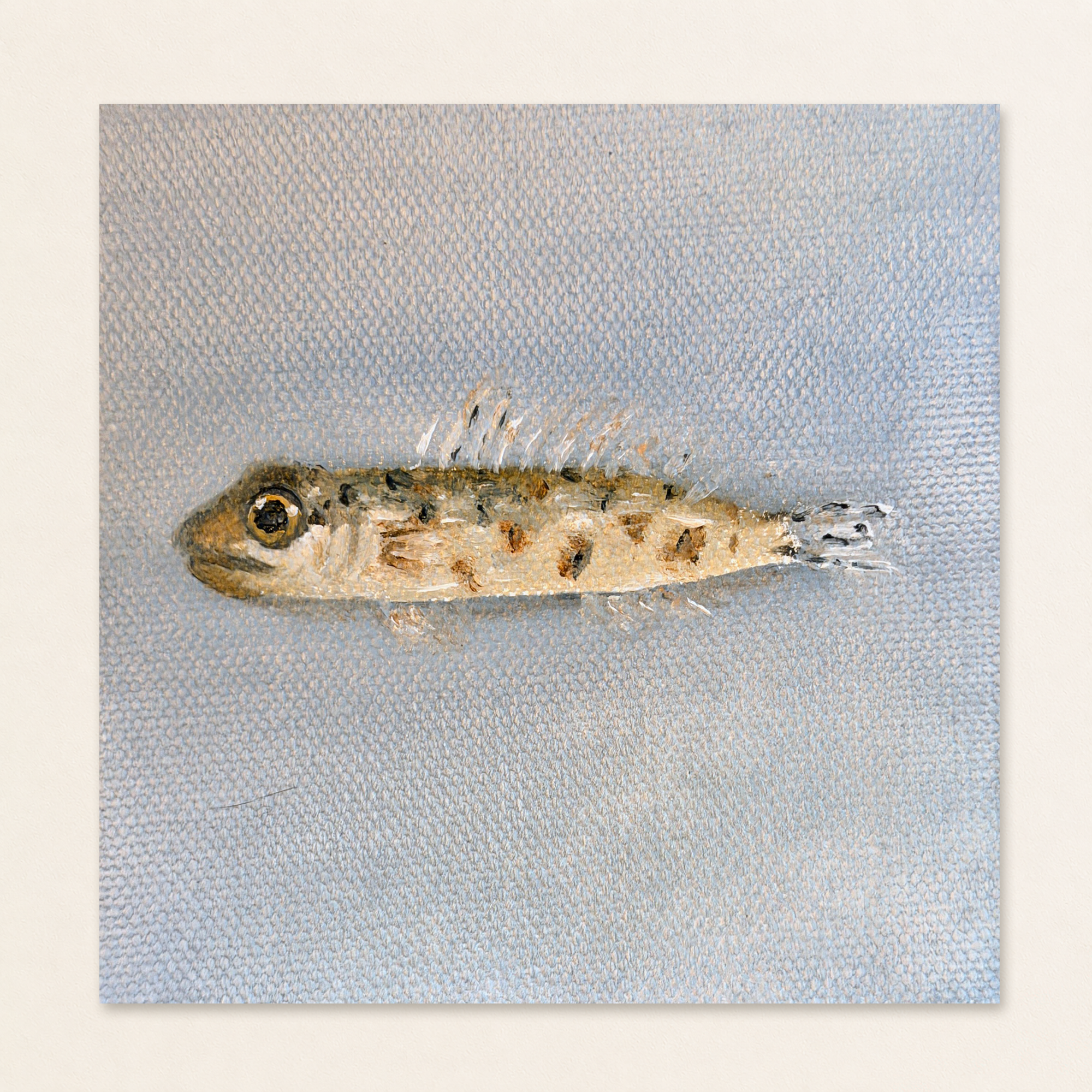 Goby | Still Life Painting